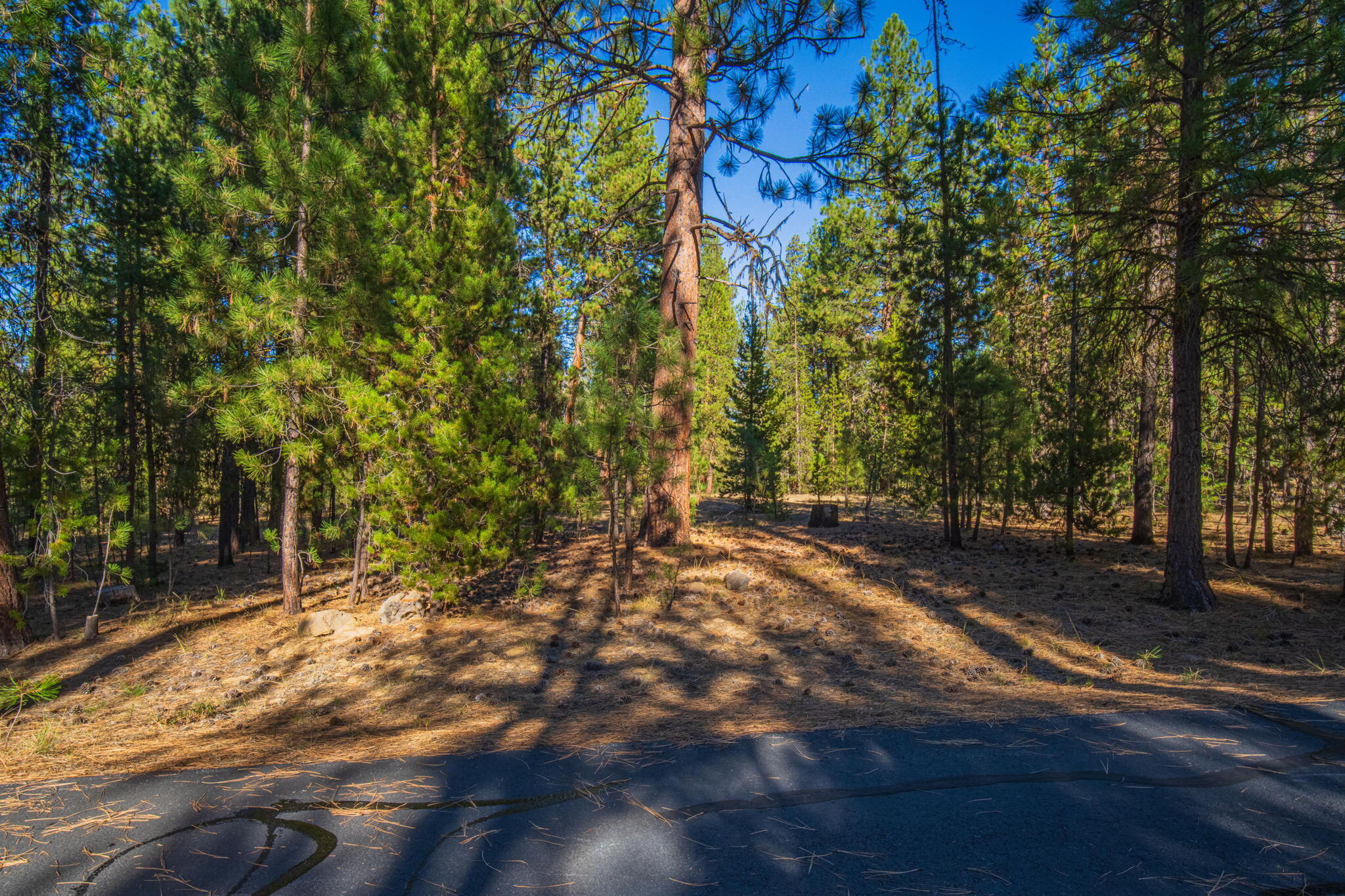 53582 22 Brookie Way