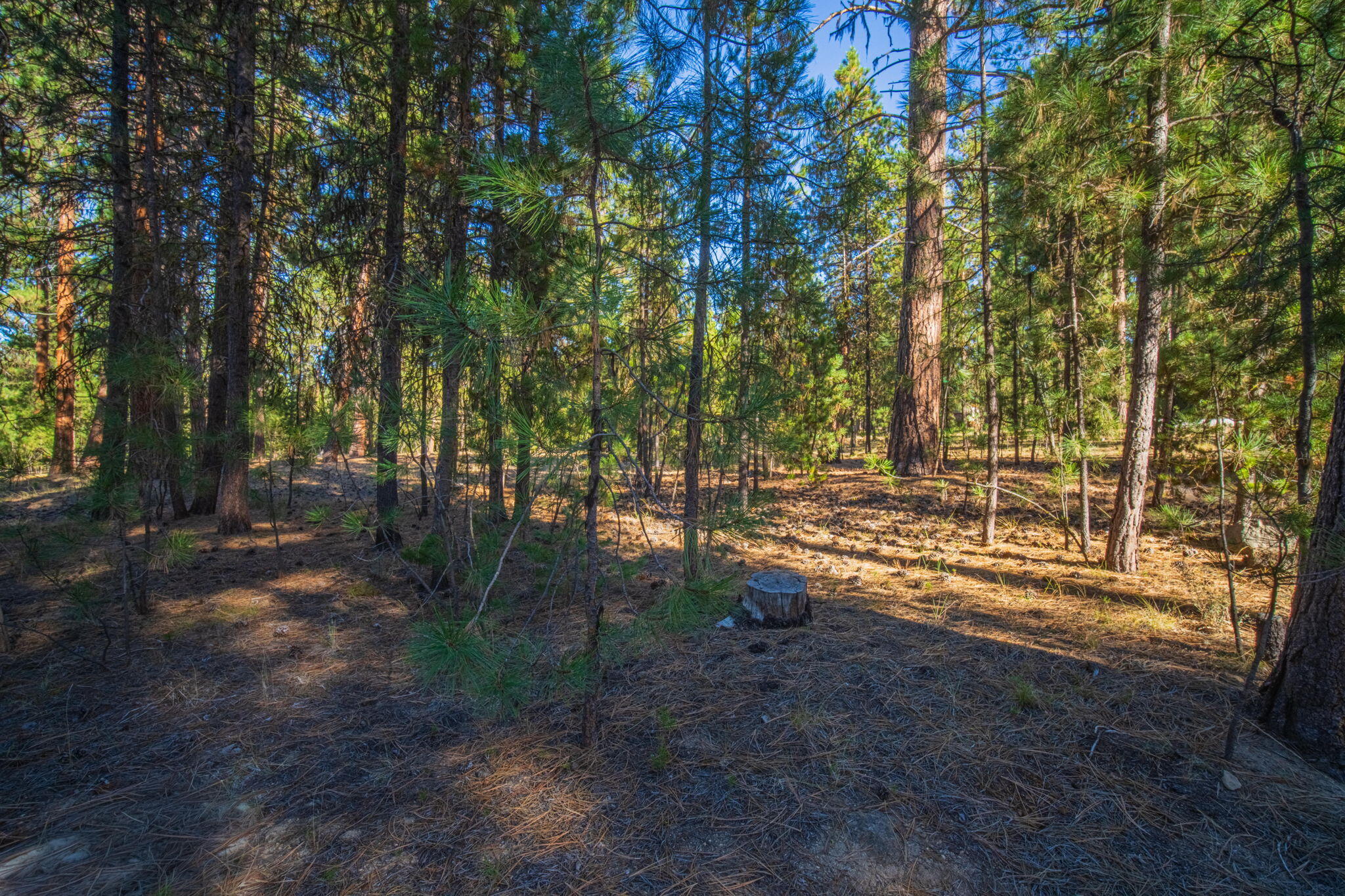 53582 22 Brookie Way