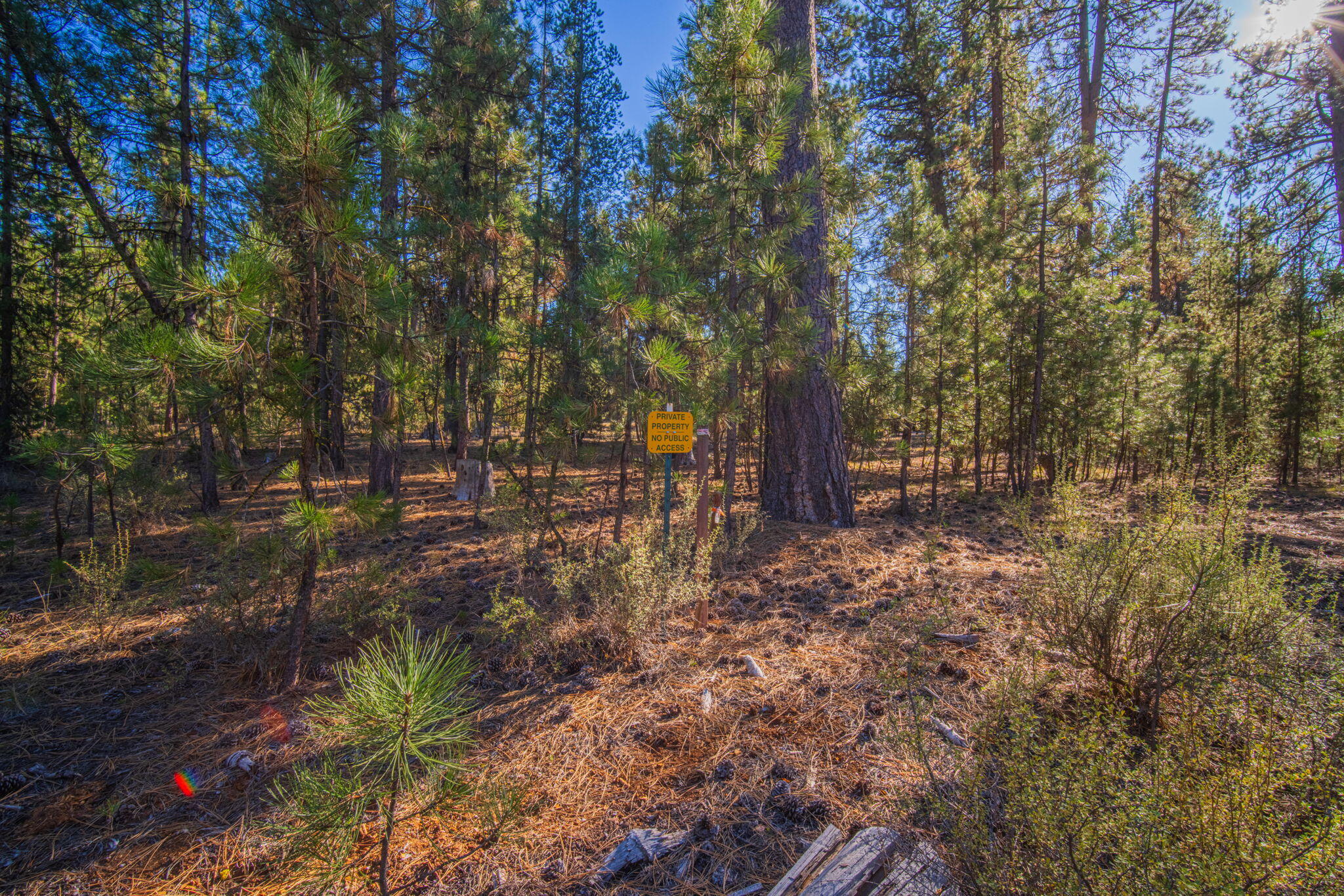 53582 22 Brookie Way