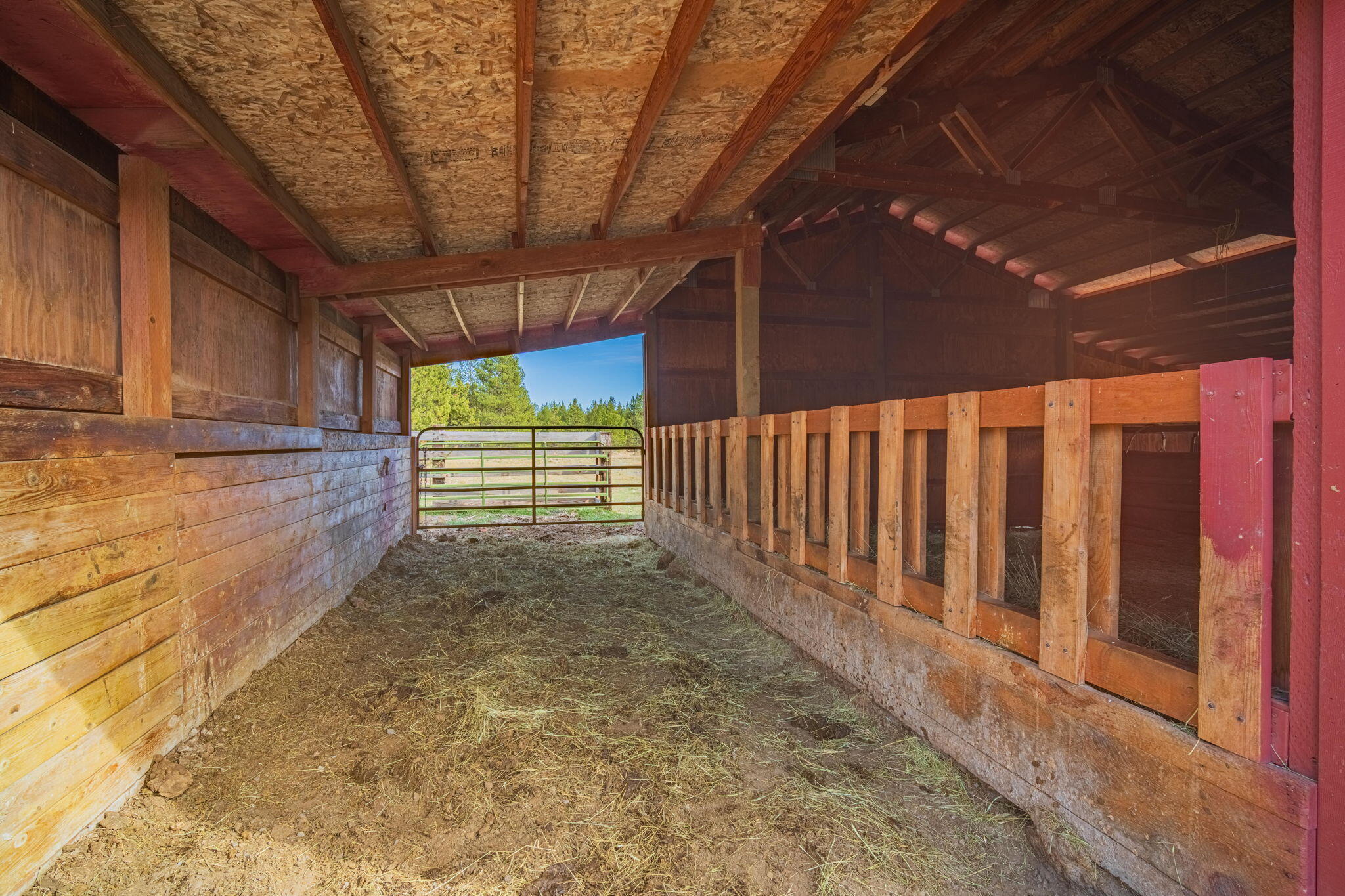 16255 Paulina View Road