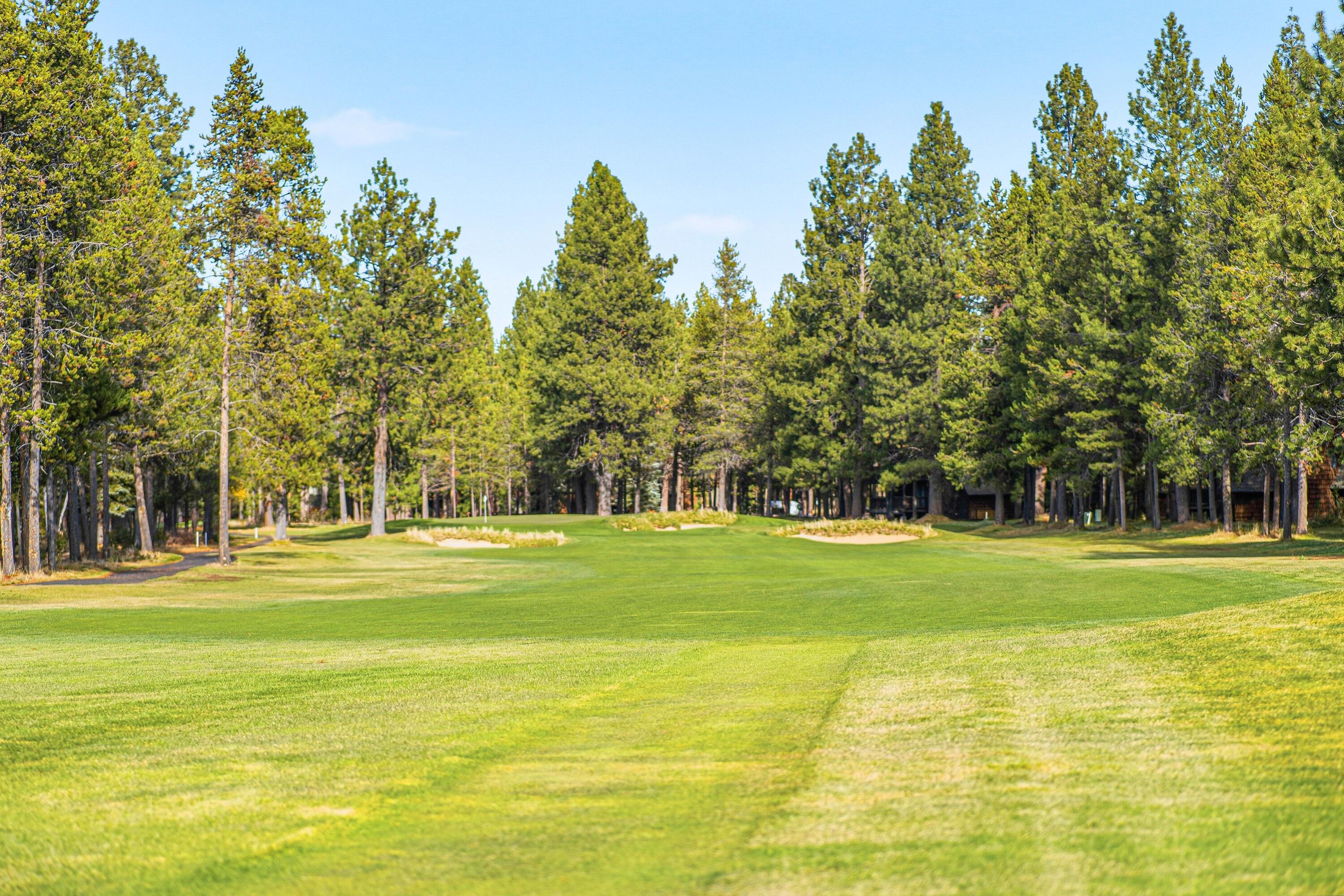 57077 Wild Lily Lane, 12