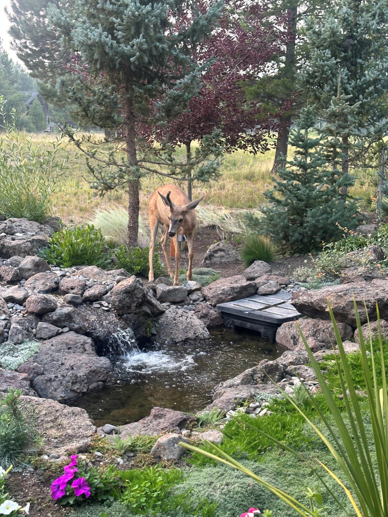 56936 Dancing Rock Loop, Lot 32