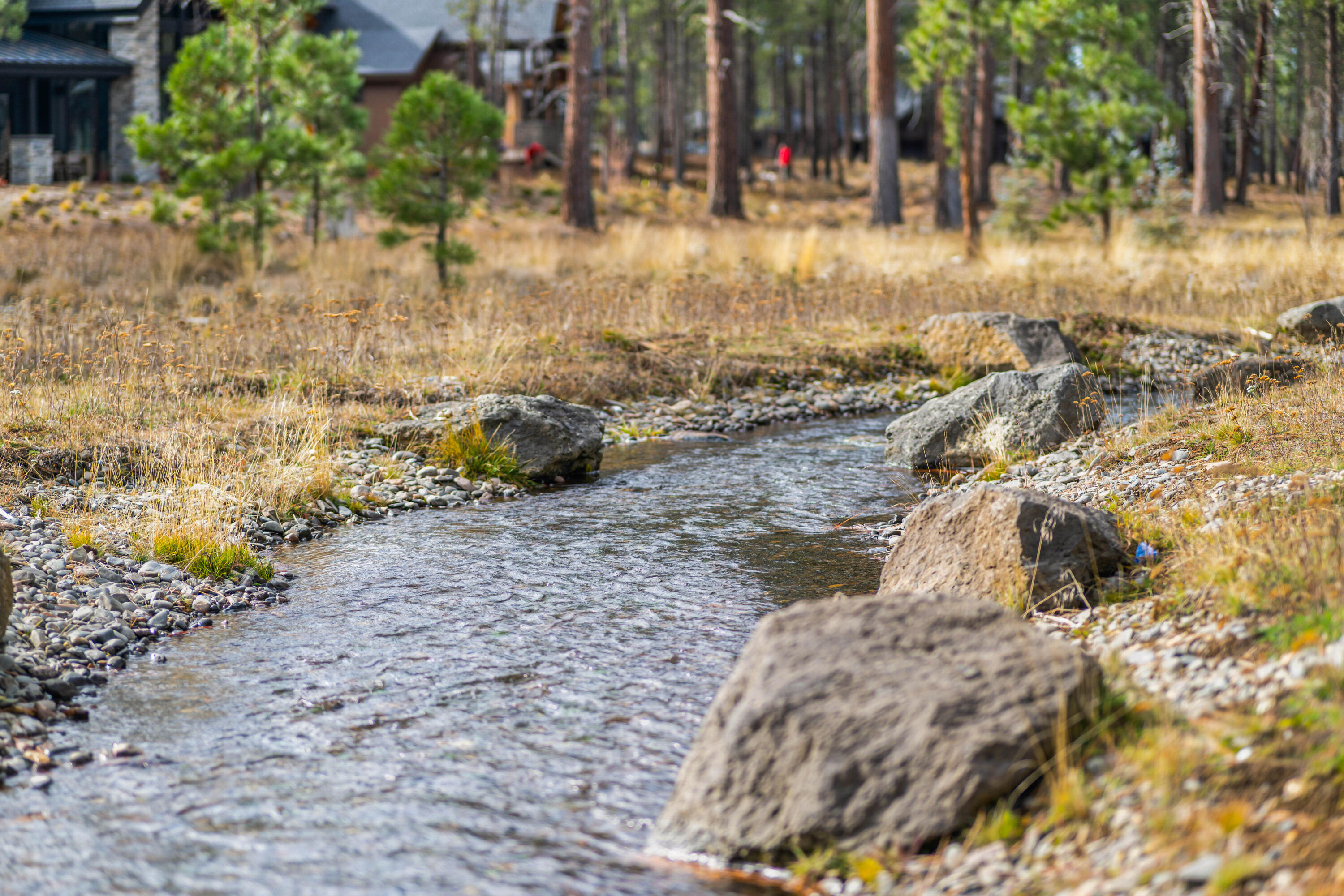 18257 Forestbrook Lp, 24