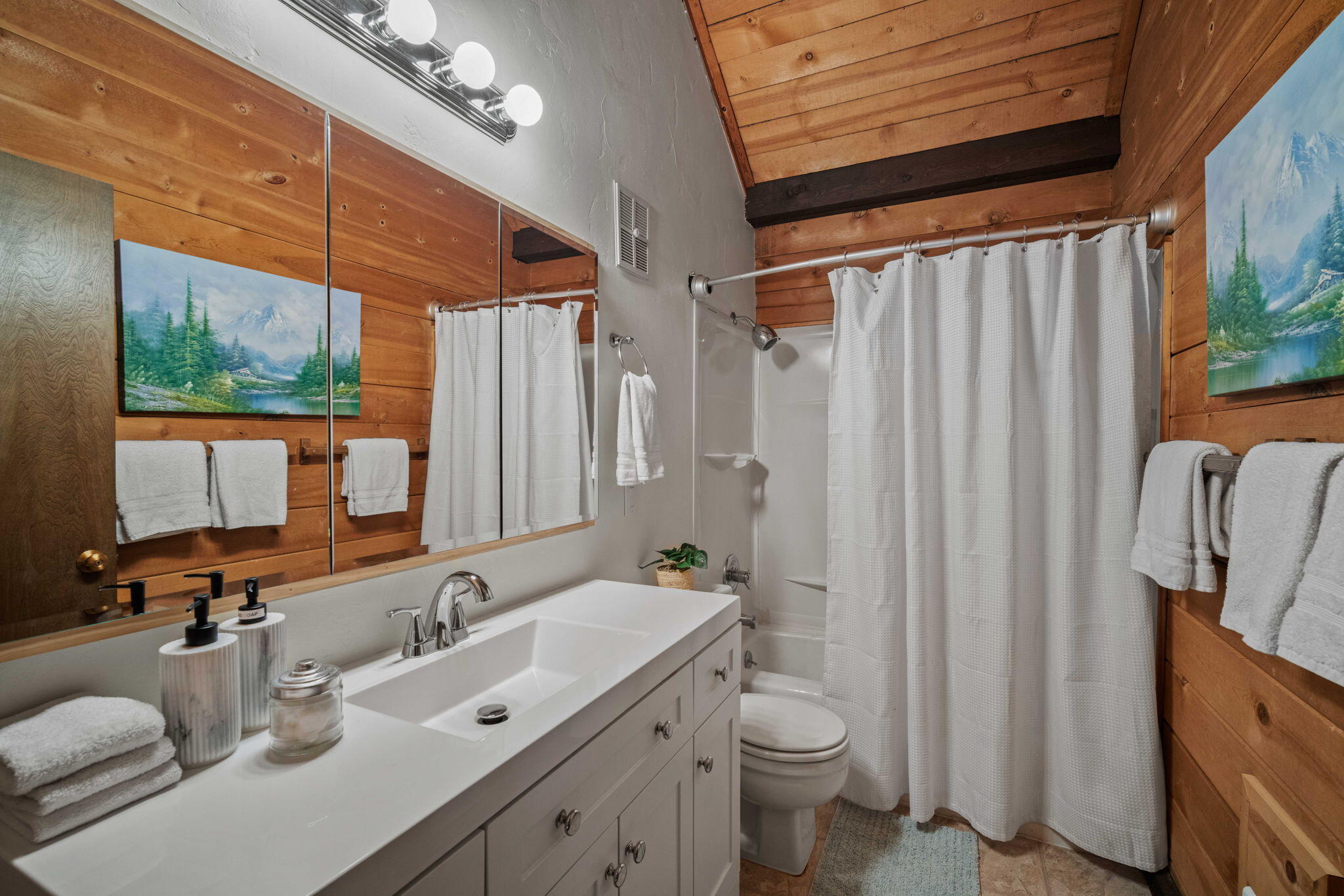 17611 Cluster Cabin Lane, 36