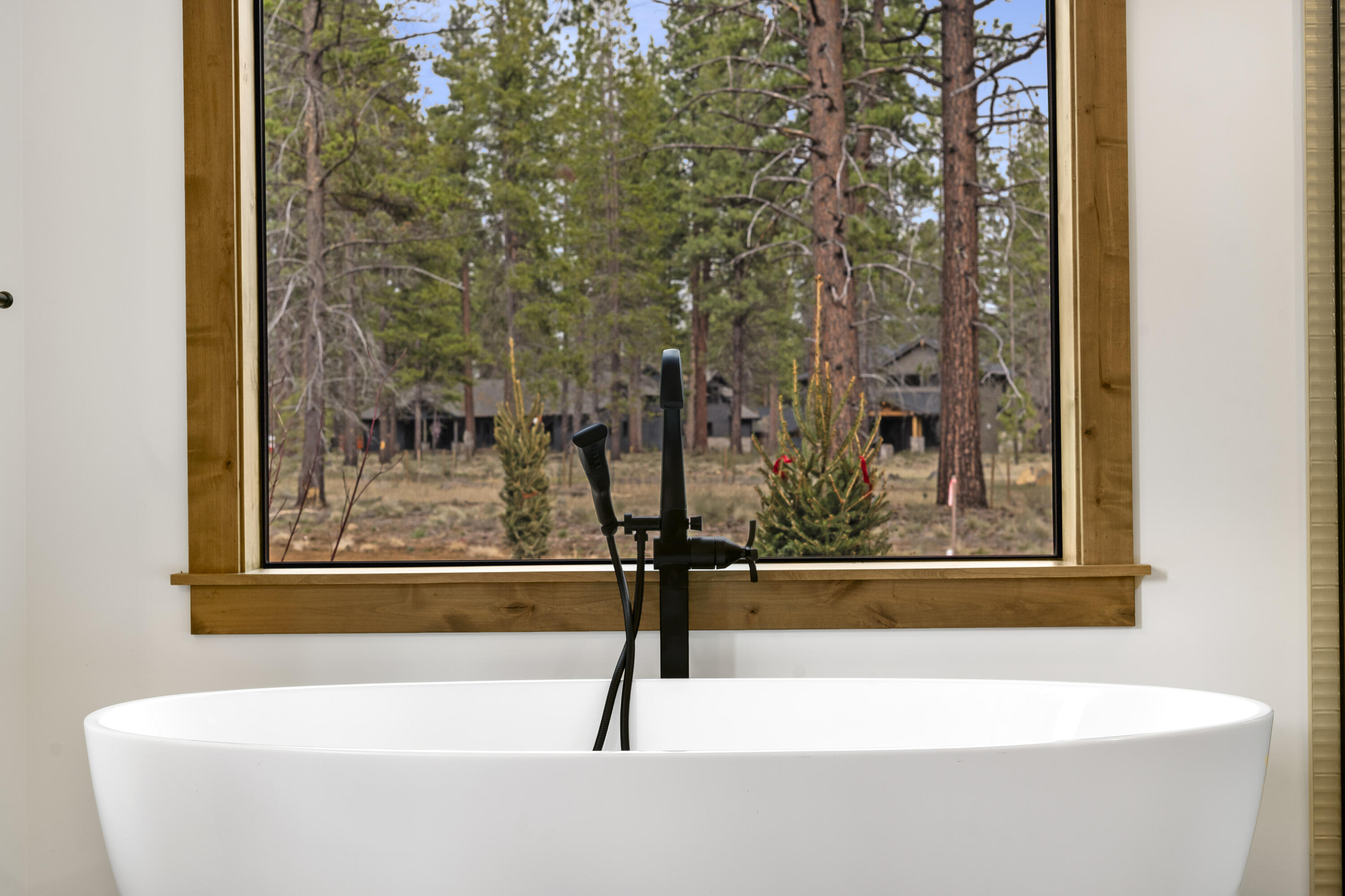 17818 Preservation Loop, 492