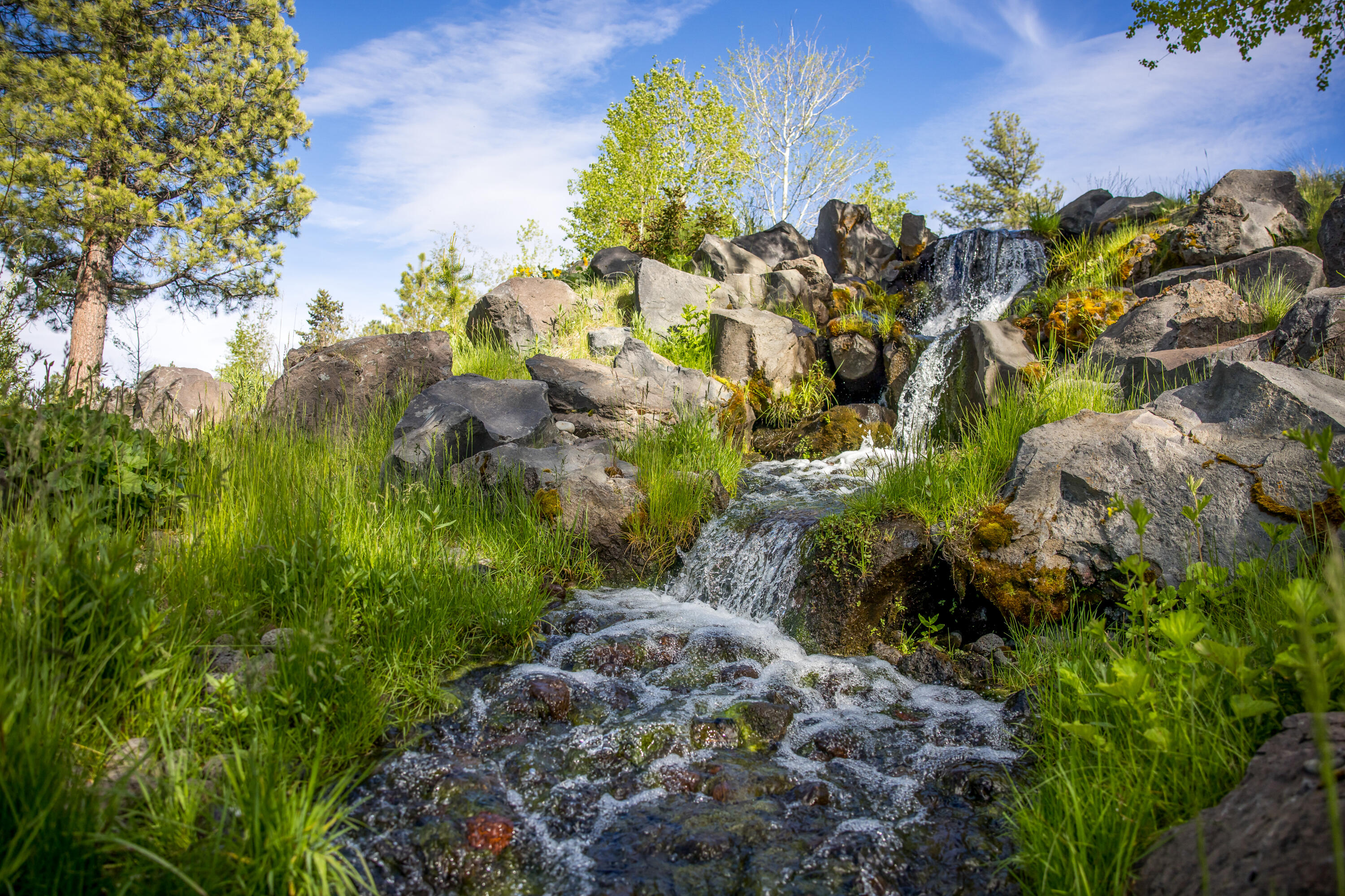 17812 Preservation Loop, 491