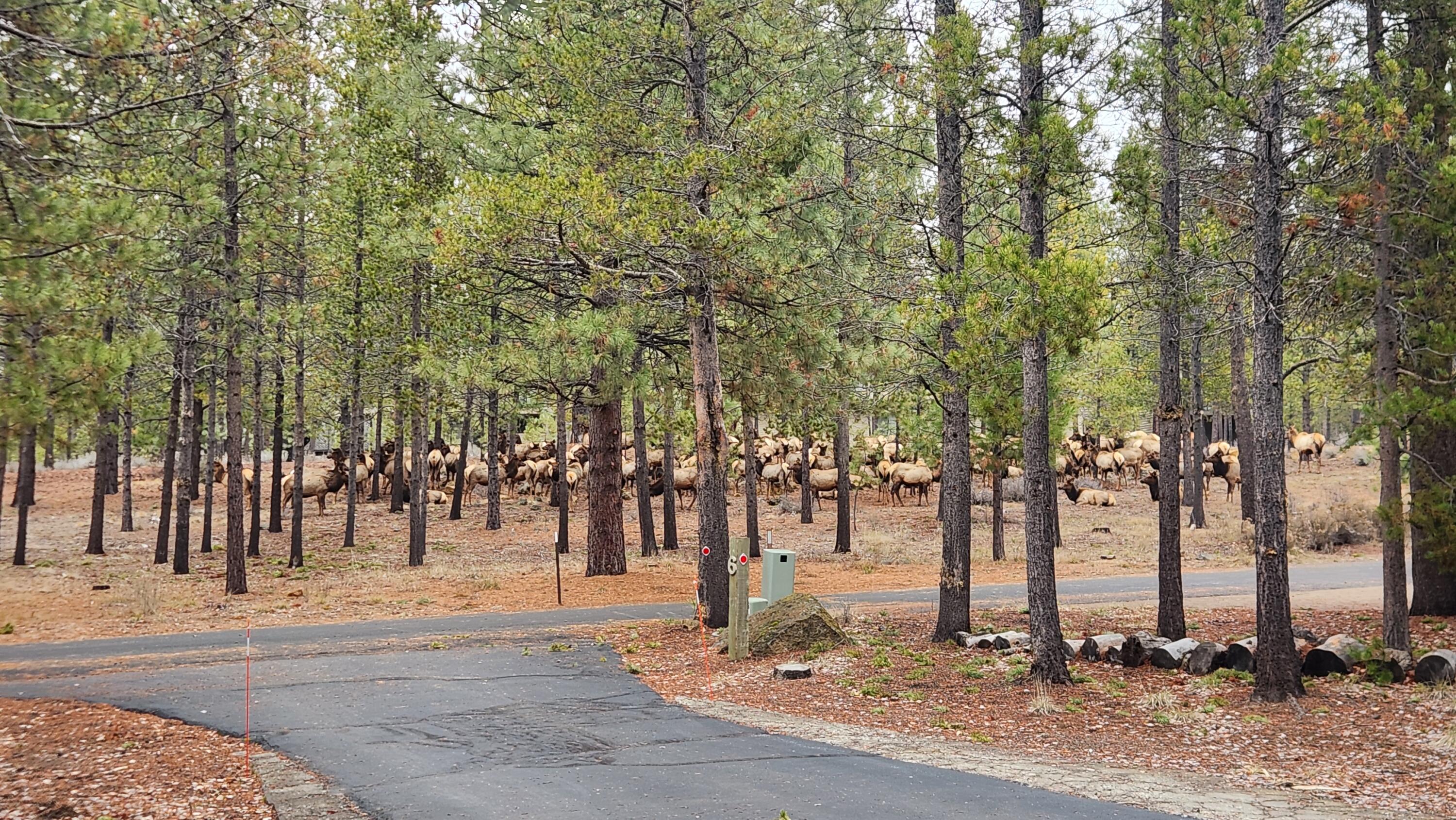 17839 Lava Butte Lane, 6