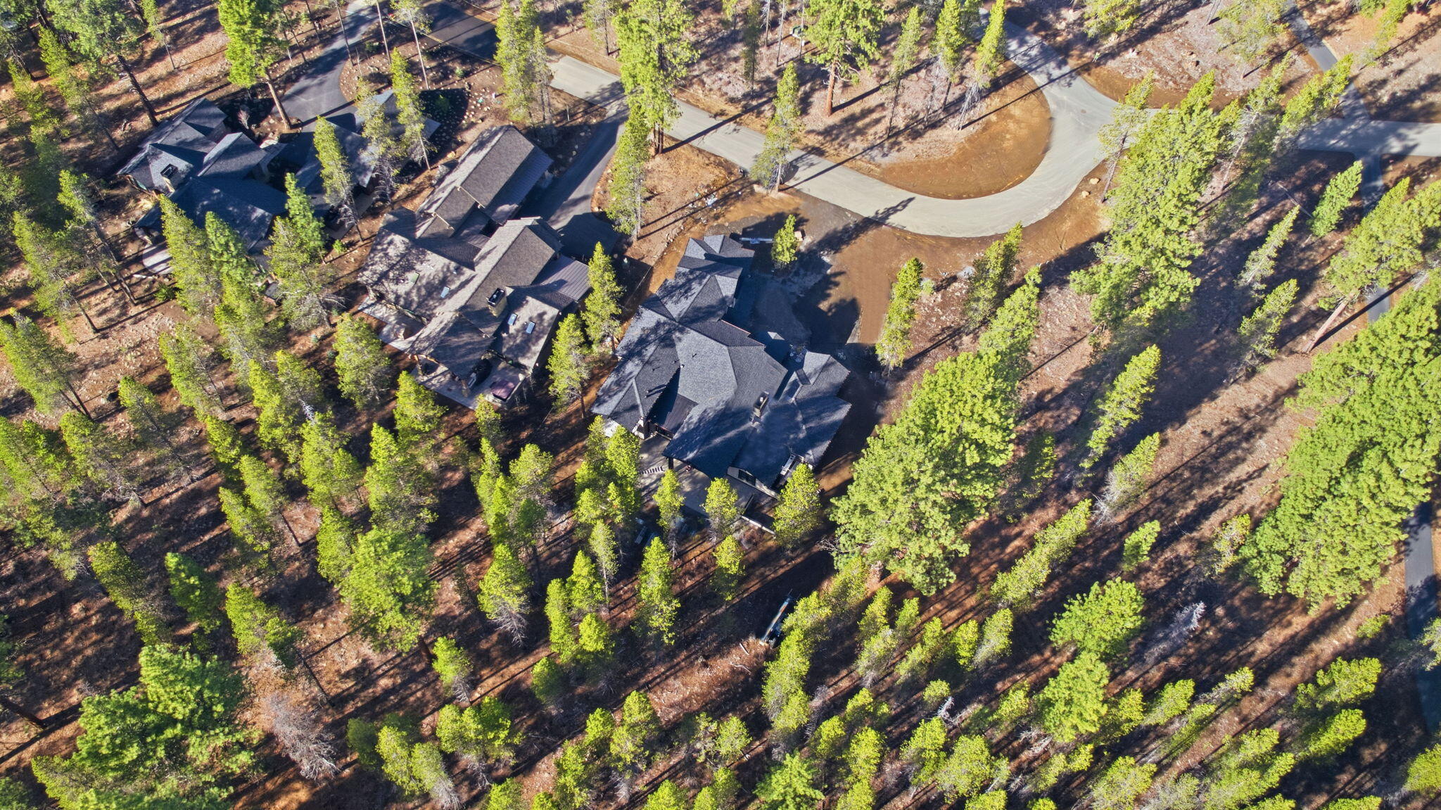 17785 Everwild Circle, 447