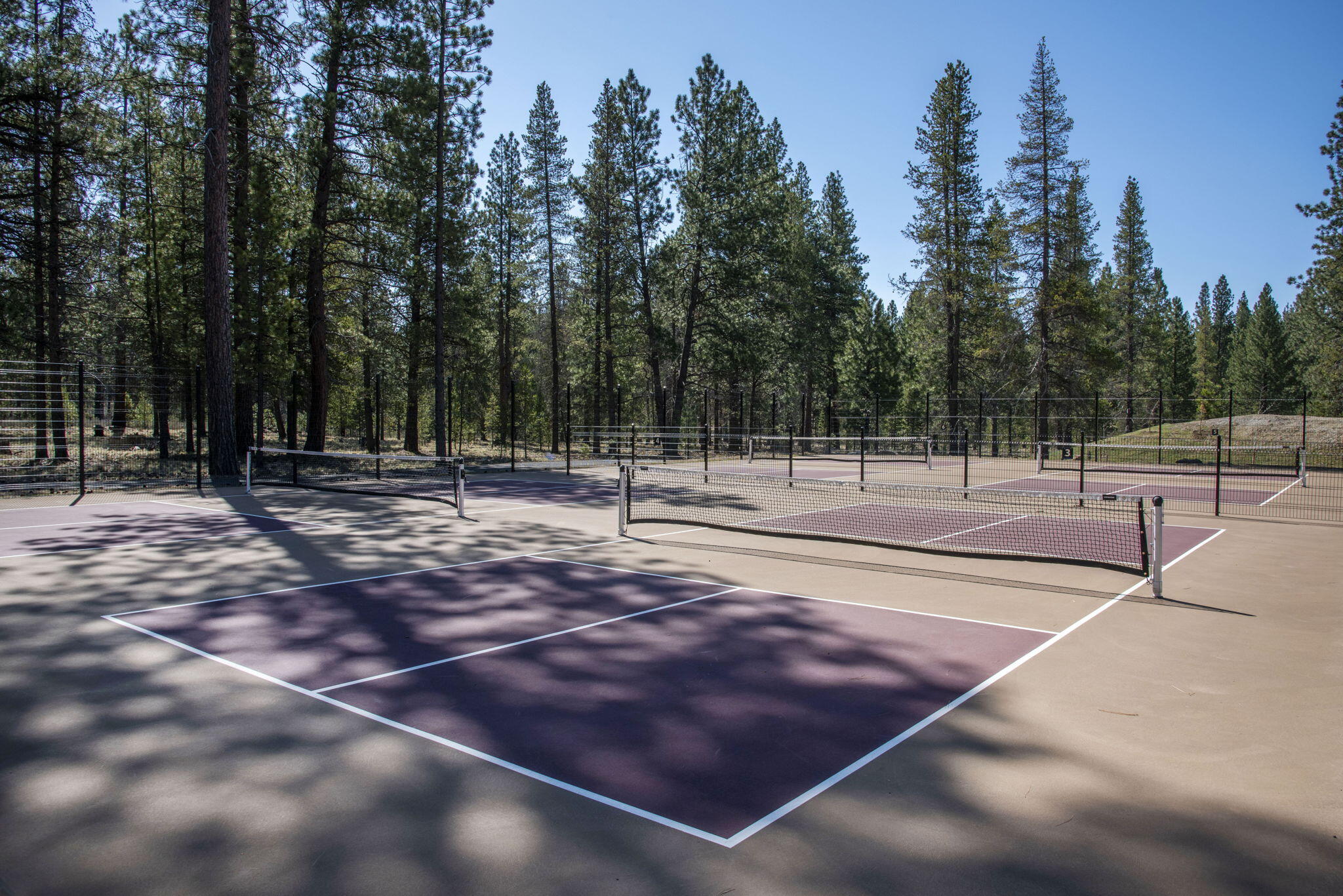 17785 Everwild Circle, 447