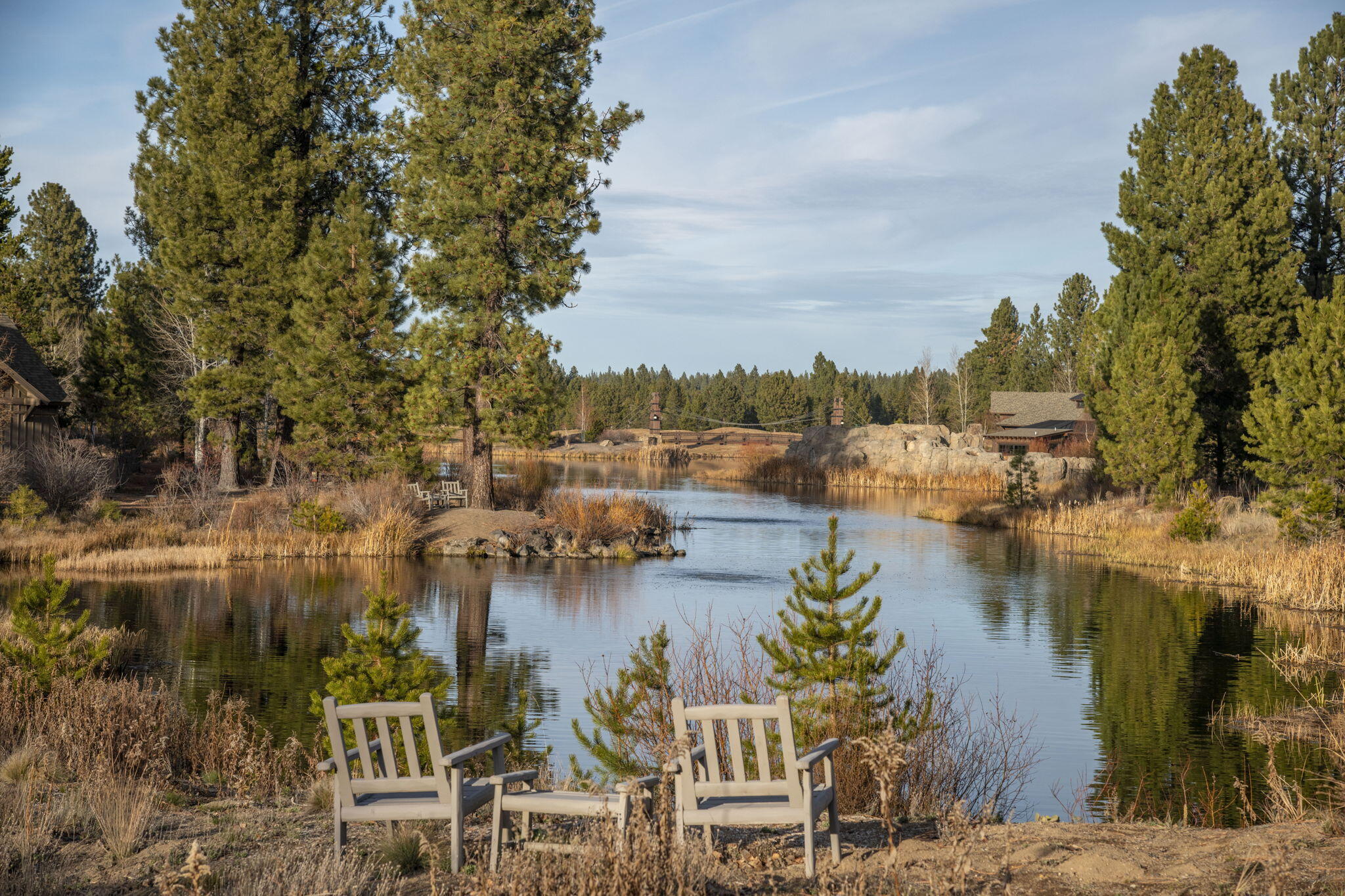 17785 Everwild Circle, 447