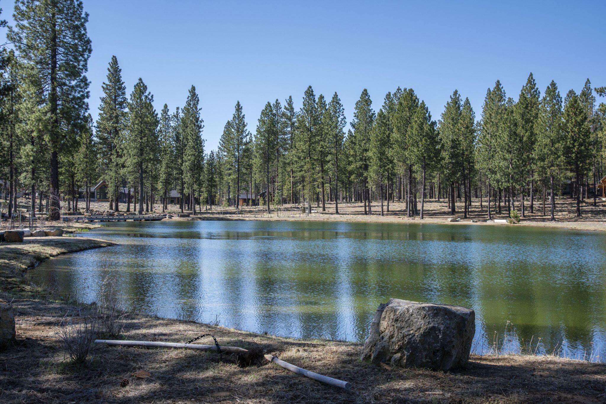 17785 Everwild Circle, 447