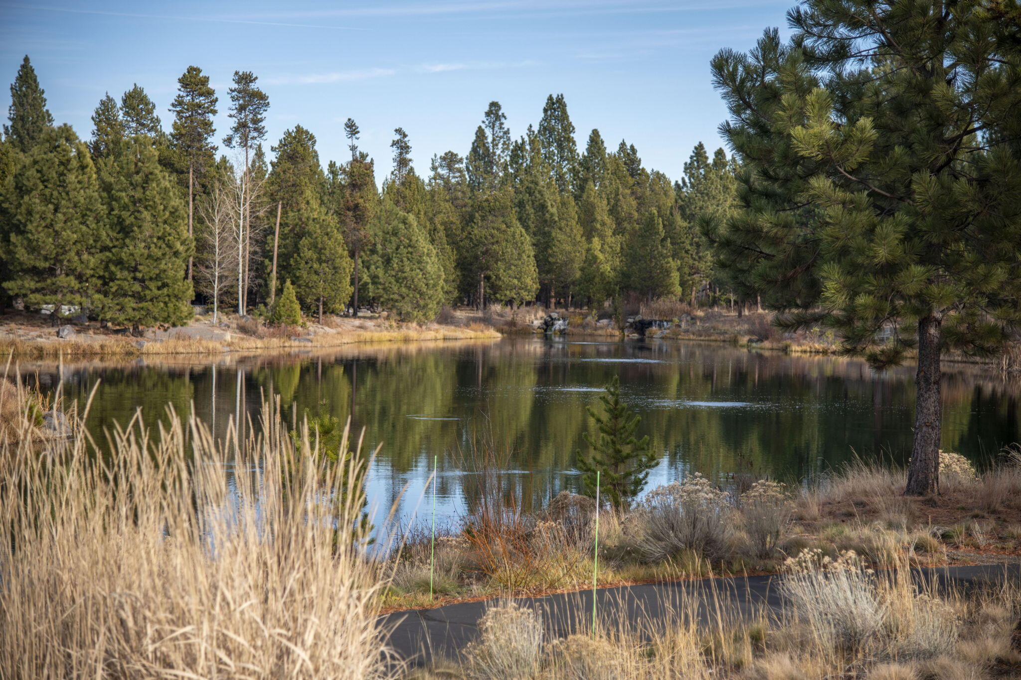 17785 Everwild Circle, 447