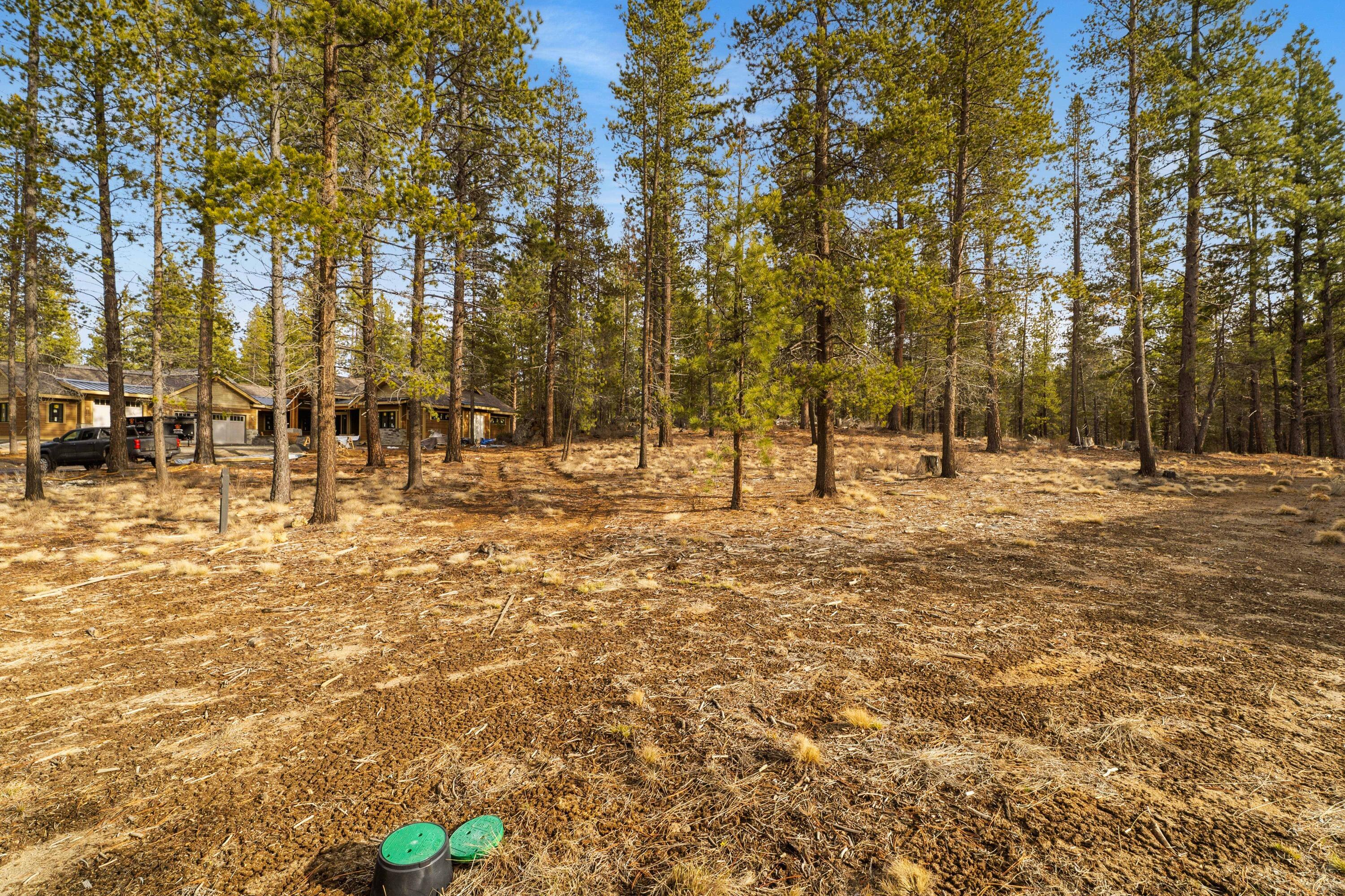 56239 Mirror Rock Loop, 369