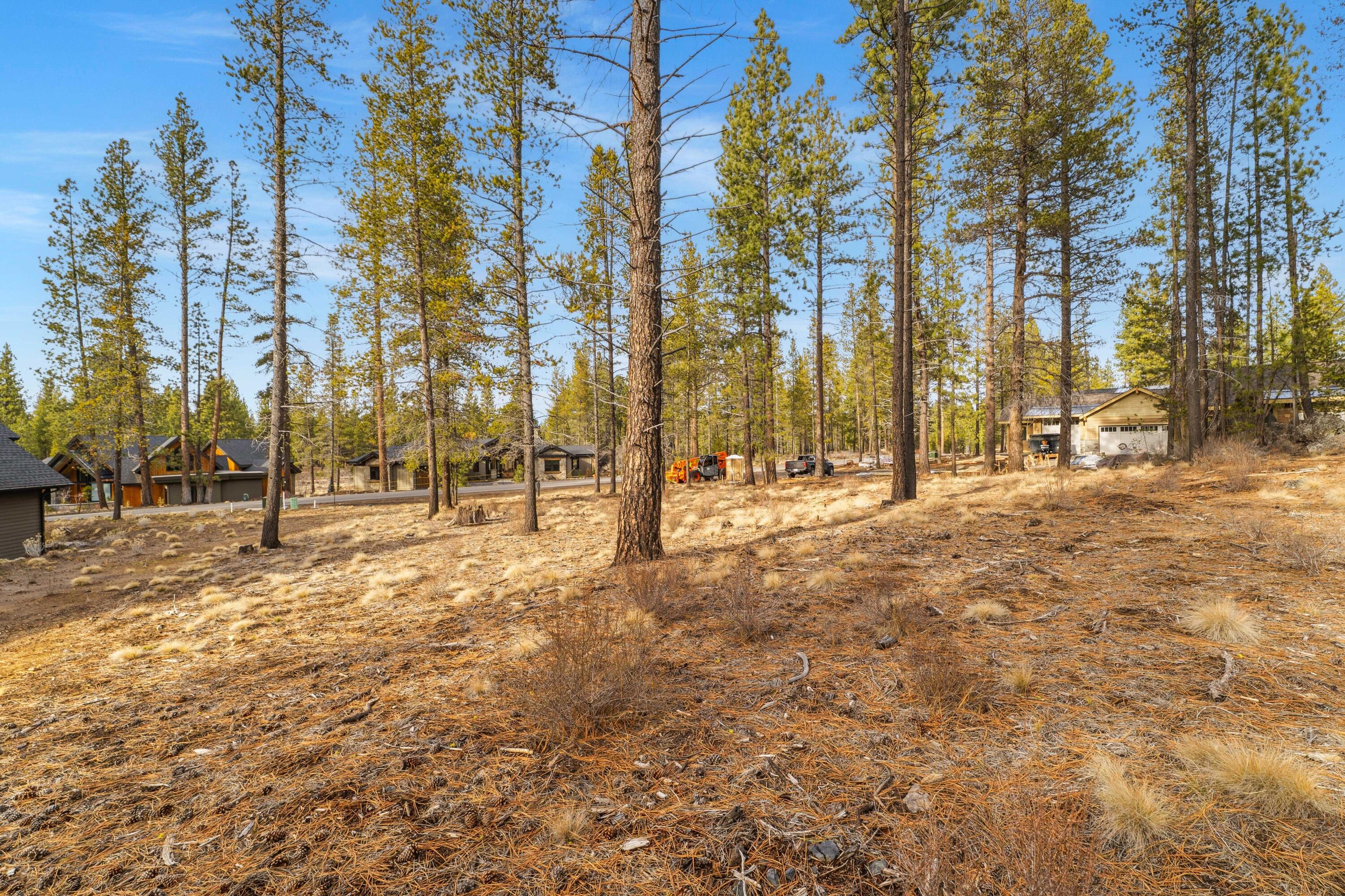 56239 Mirror Rock Loop, 369