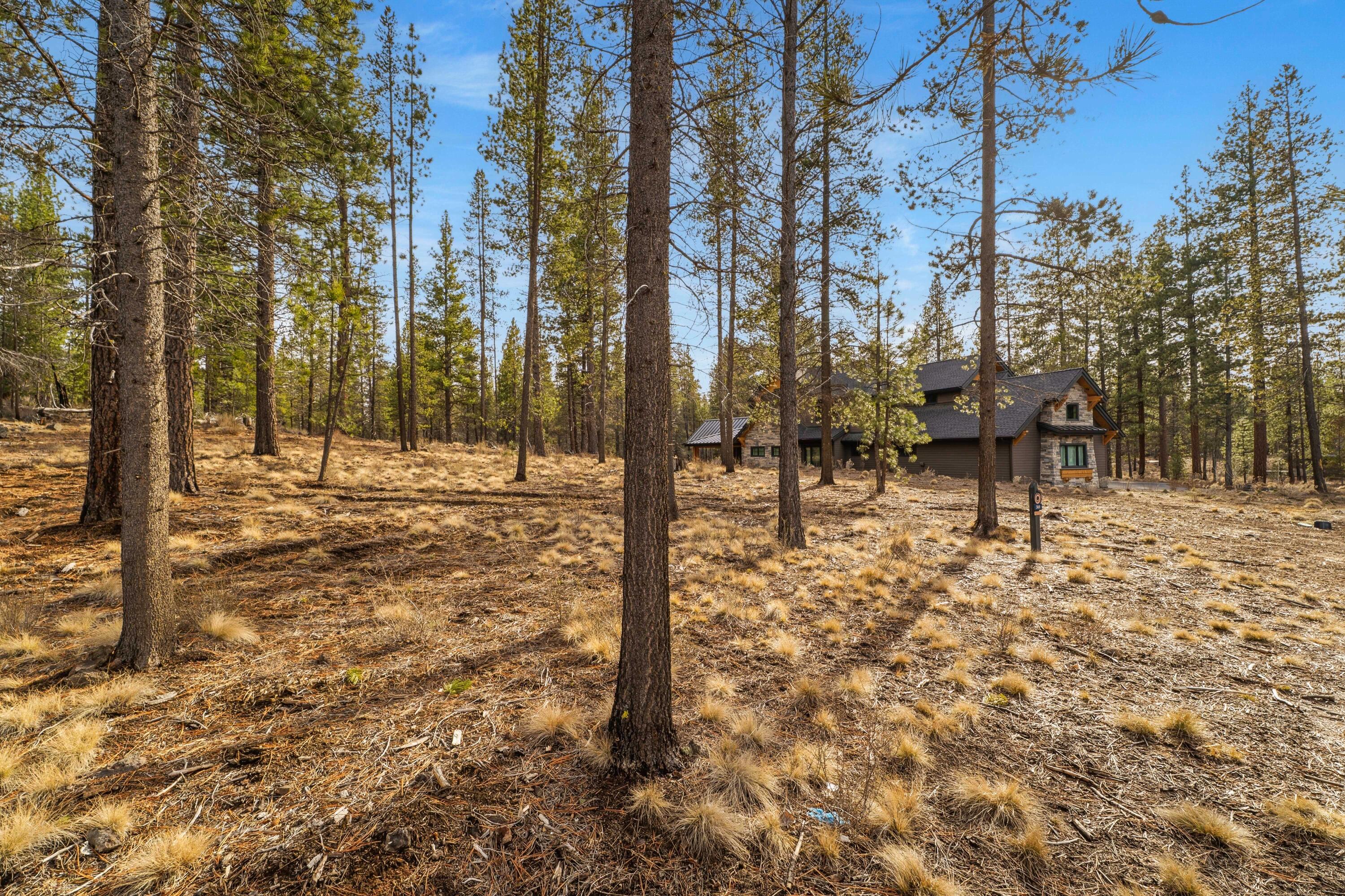 56239 Mirror Rock Loop, 369