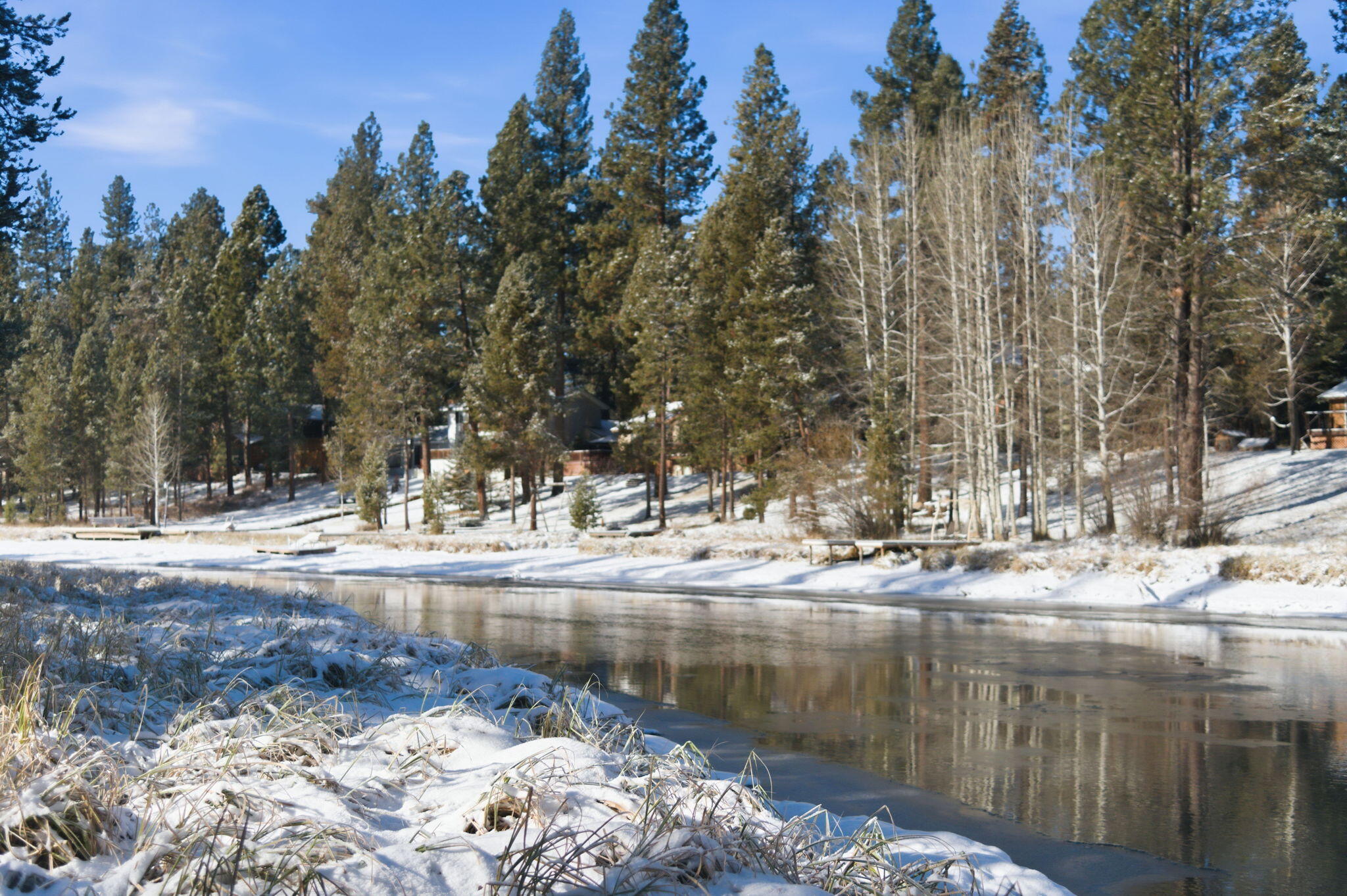 17181 Merganser Drive