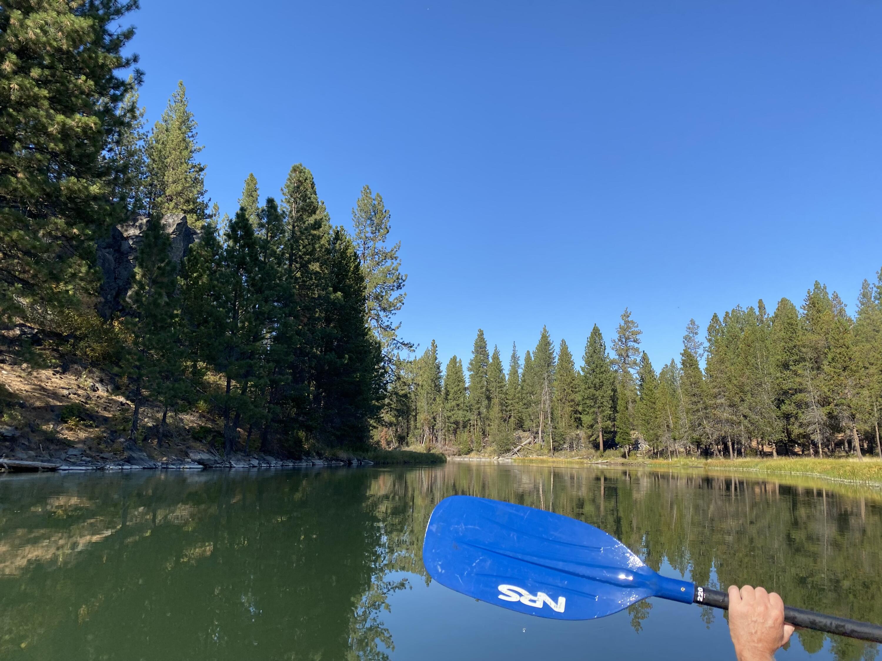 17181 Merganser Drive