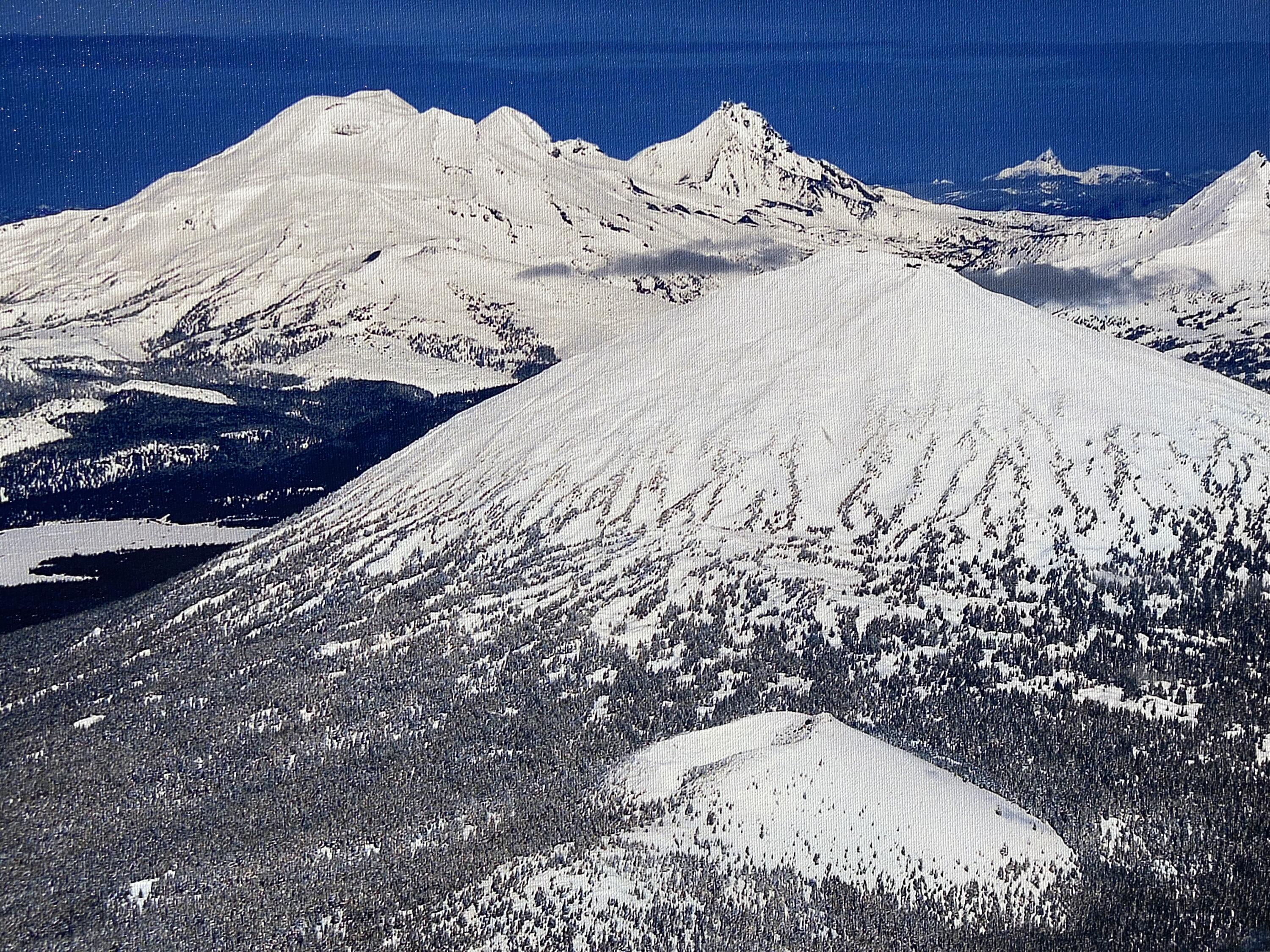 17181 Merganser Drive