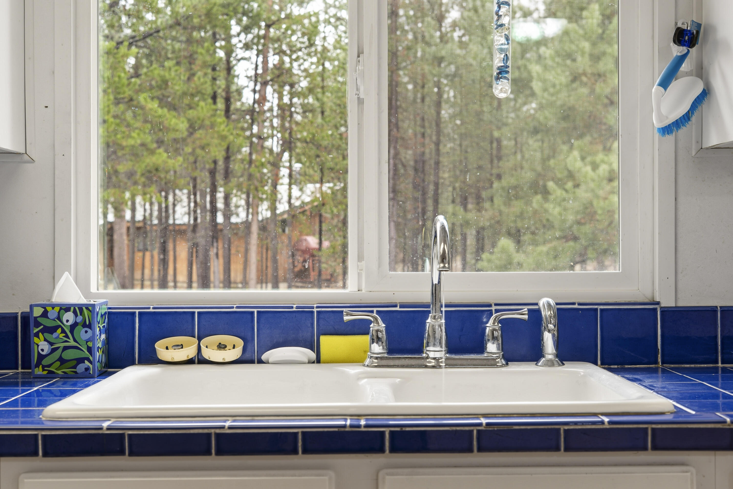 52070 Elderberry Lane