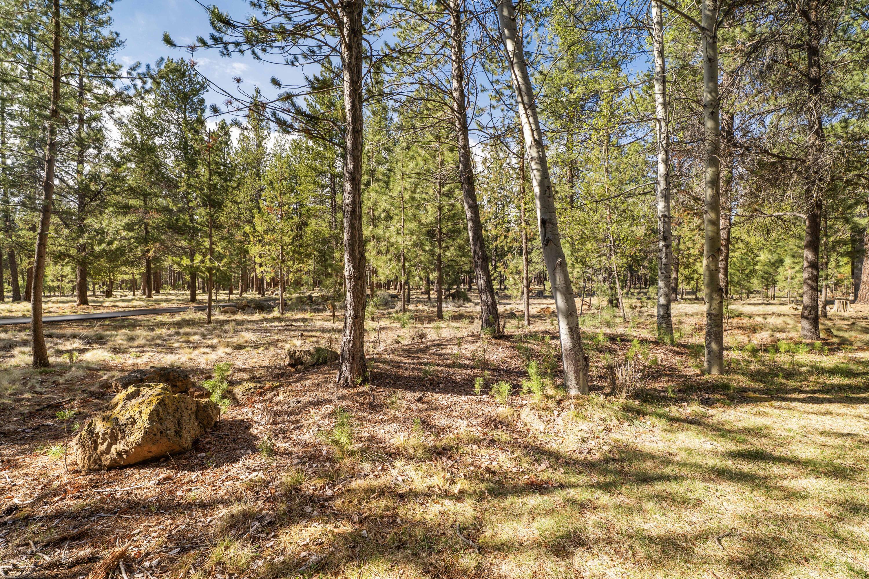 57387 Beaver Ridge Loop, 37