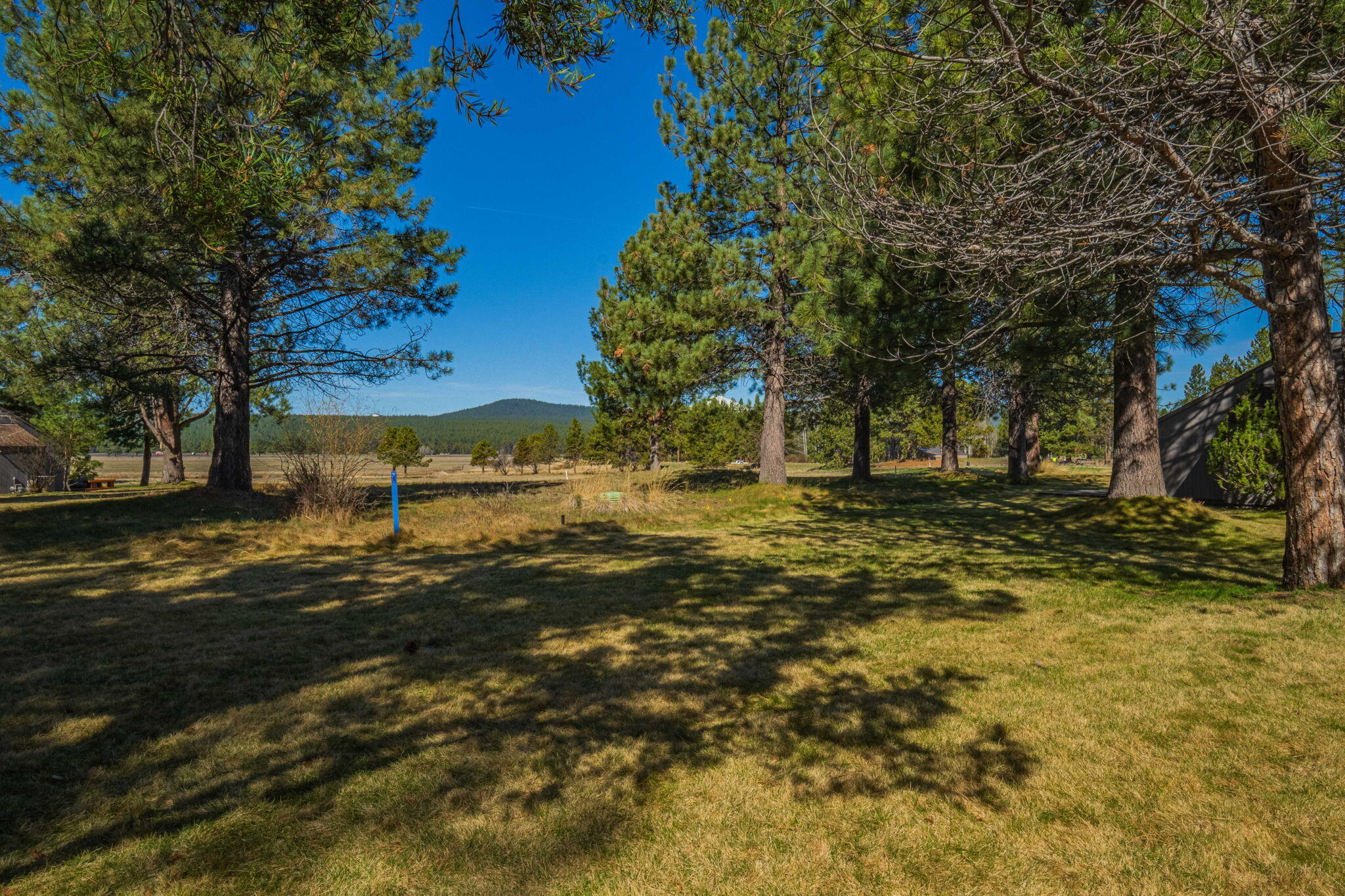 57258 Island Road, 58