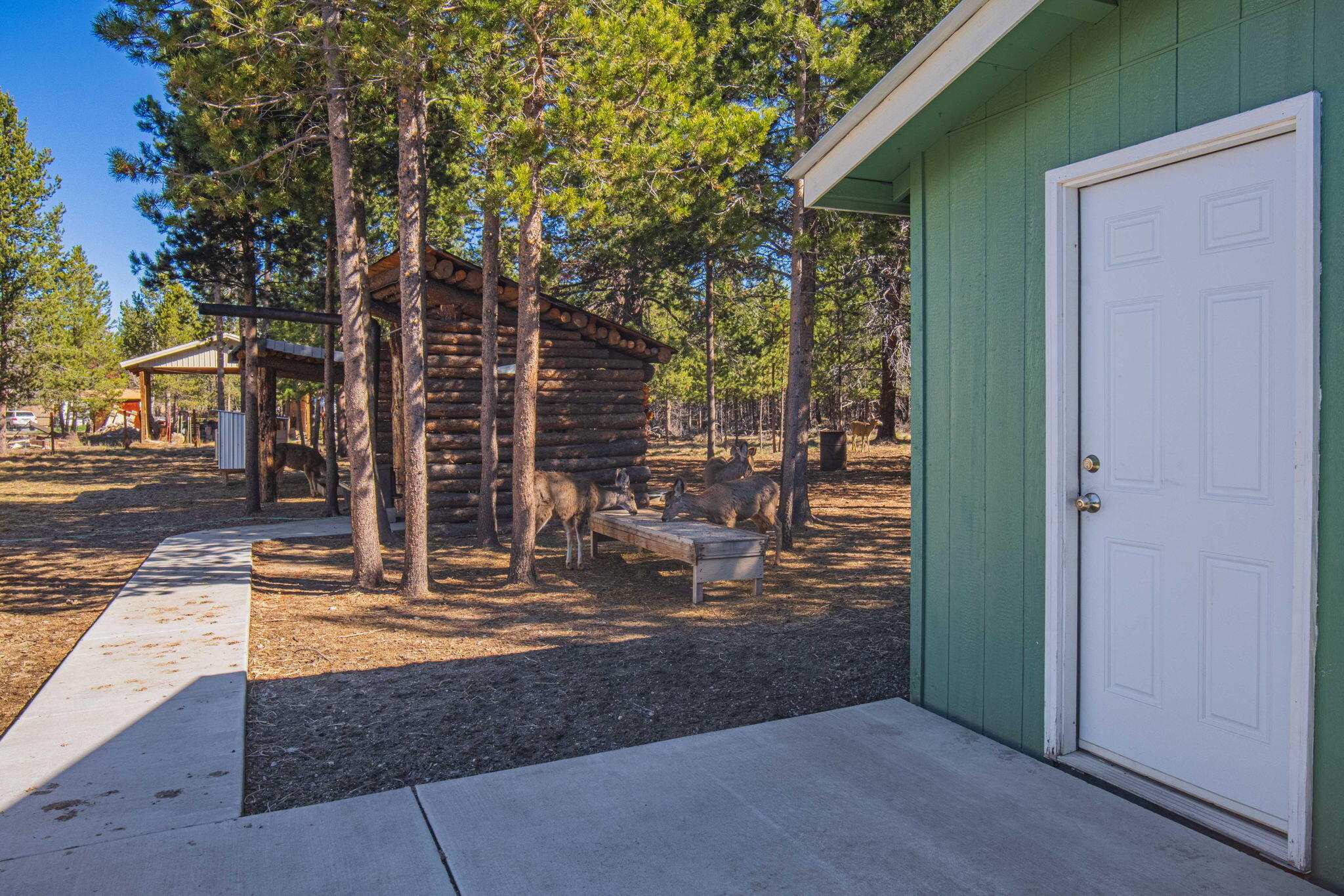 12411 Larchwood Drive