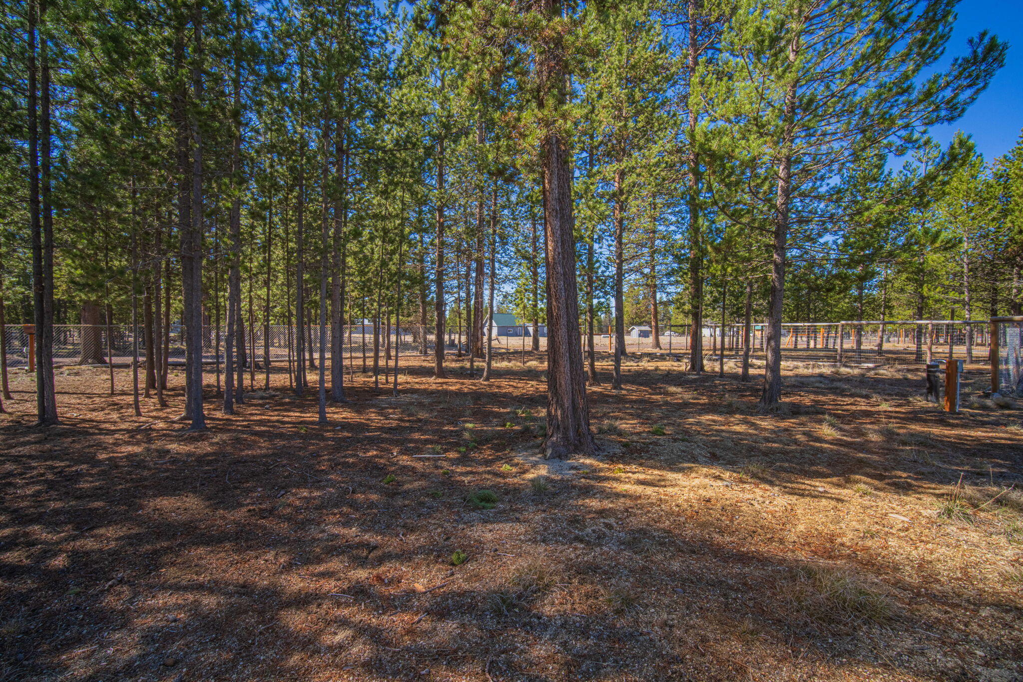 12411 Larchwood Drive