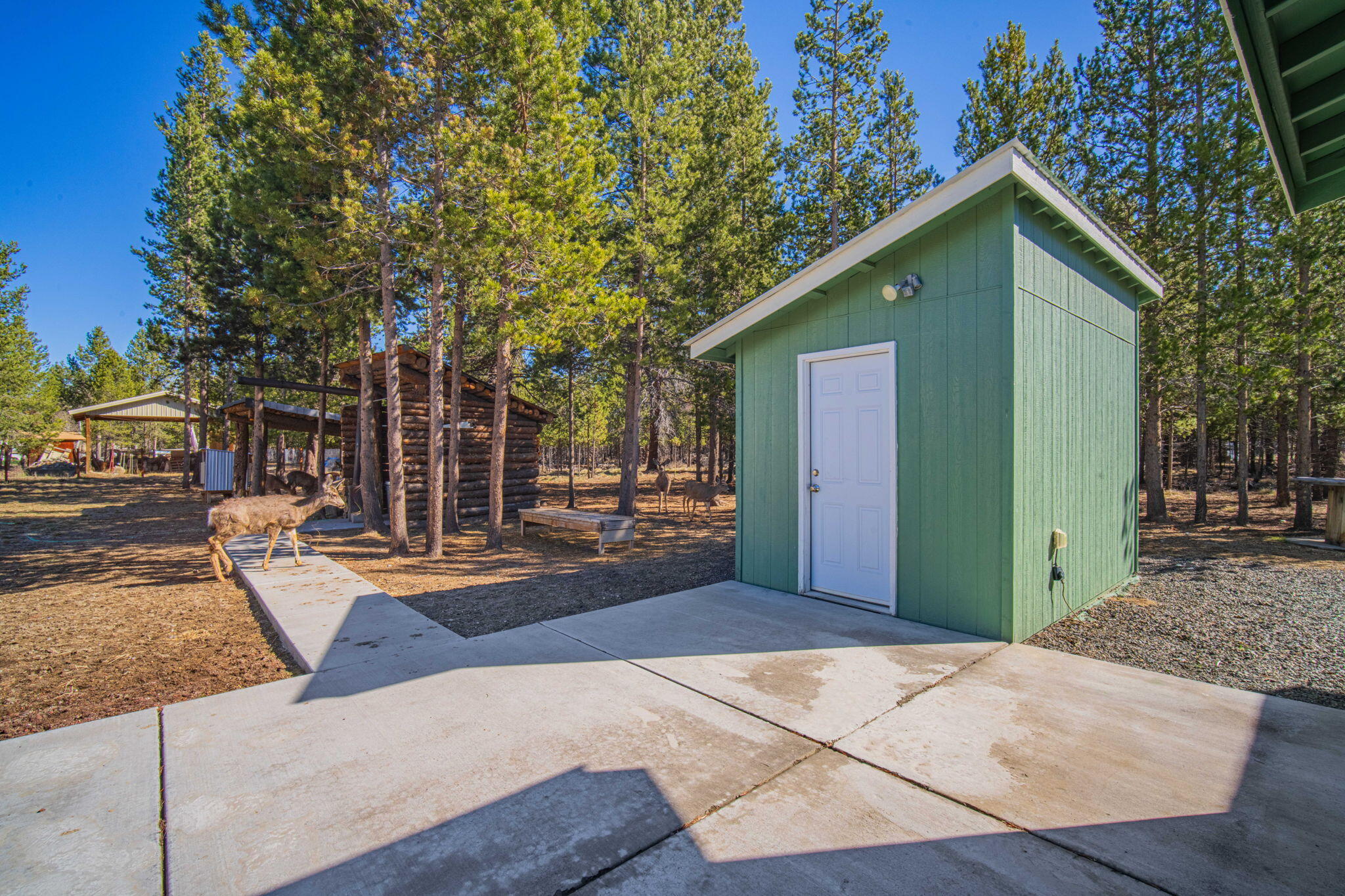 12411 Larchwood Drive