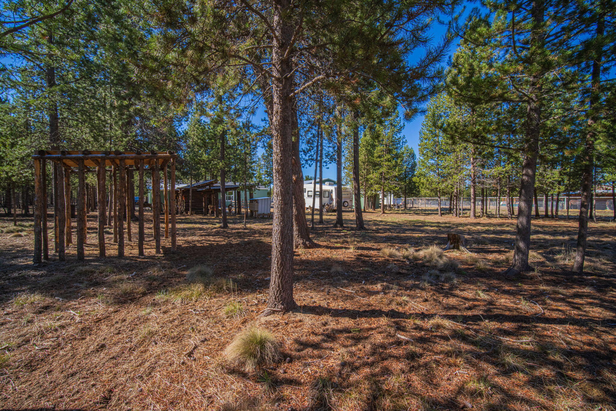 12411 Larchwood Drive