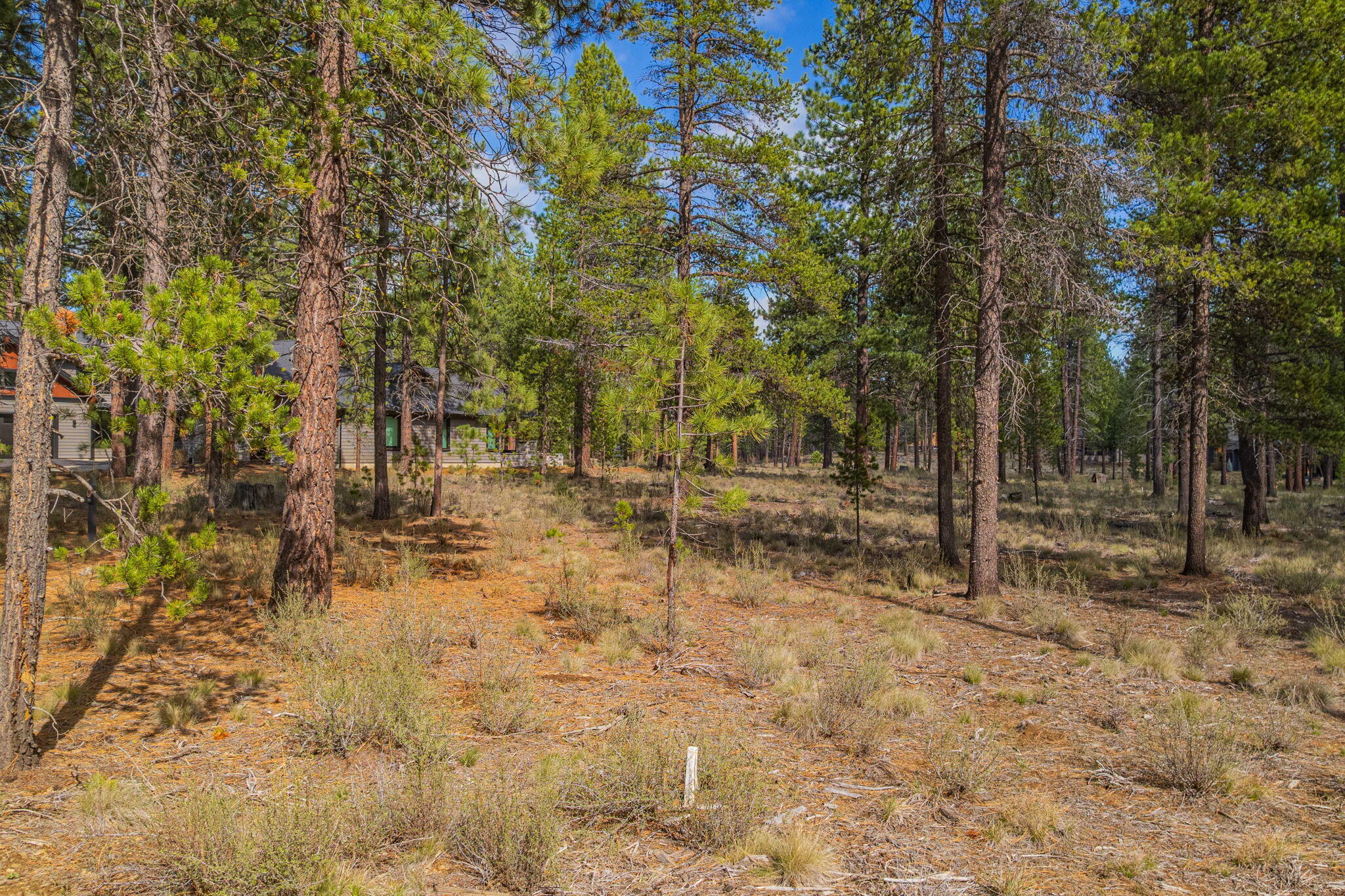 56265 Elk Run Drive, 391