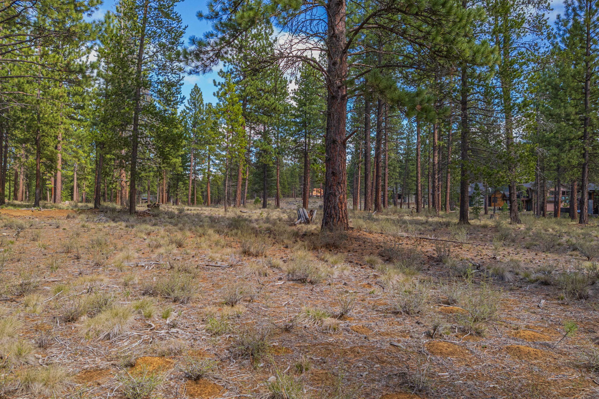 56265 Elk Run Drive, 391