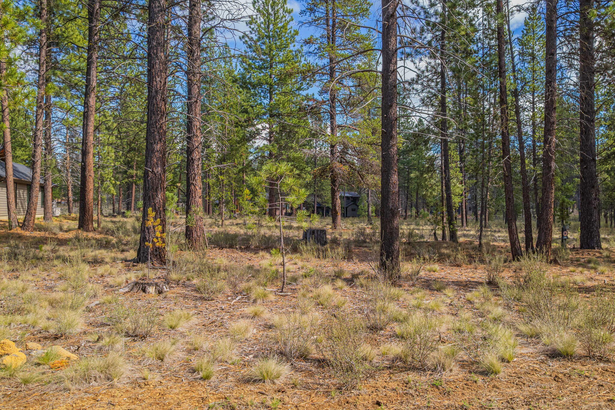 56265 Elk Run Drive, 391