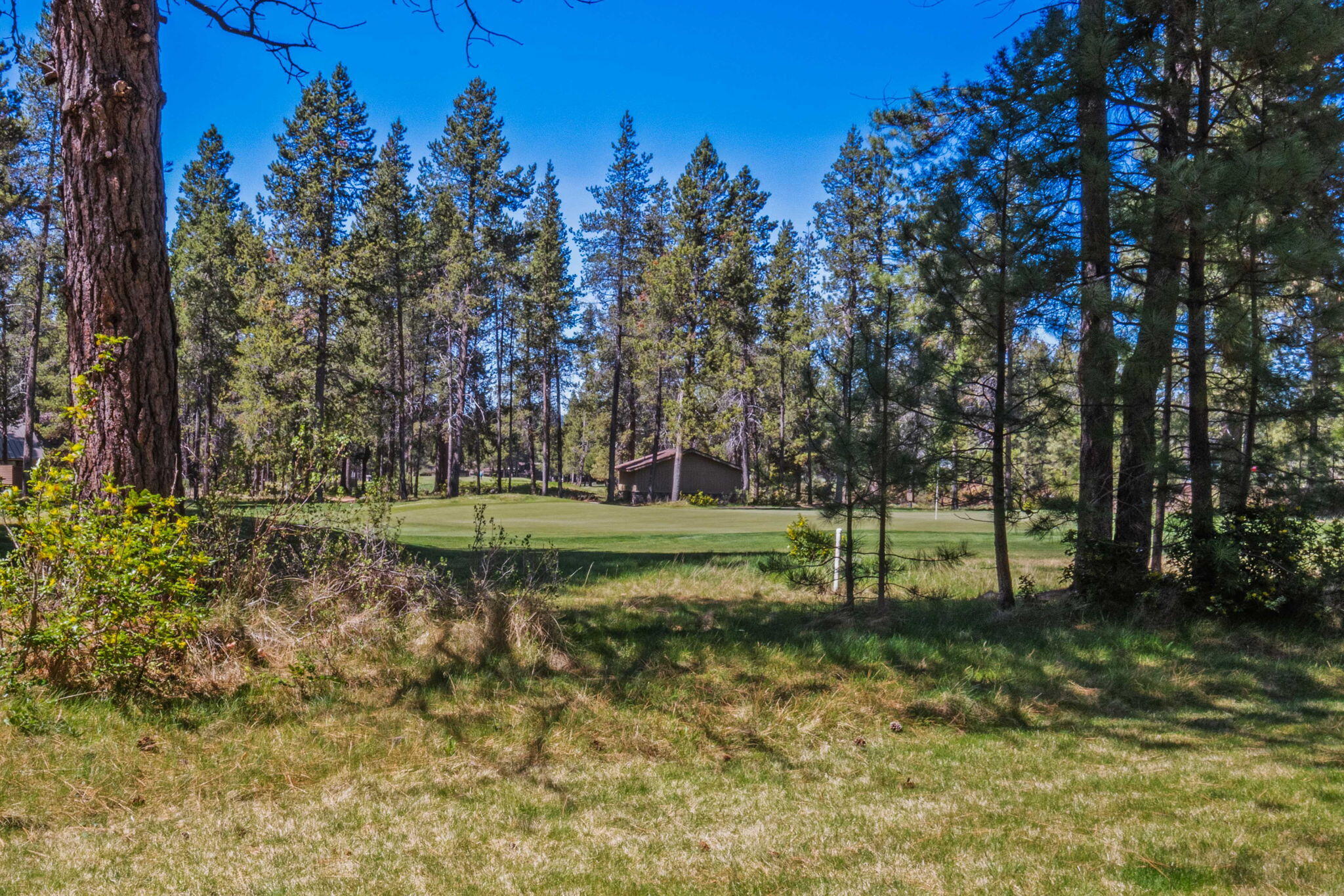 57267 Mashie Lane, 62