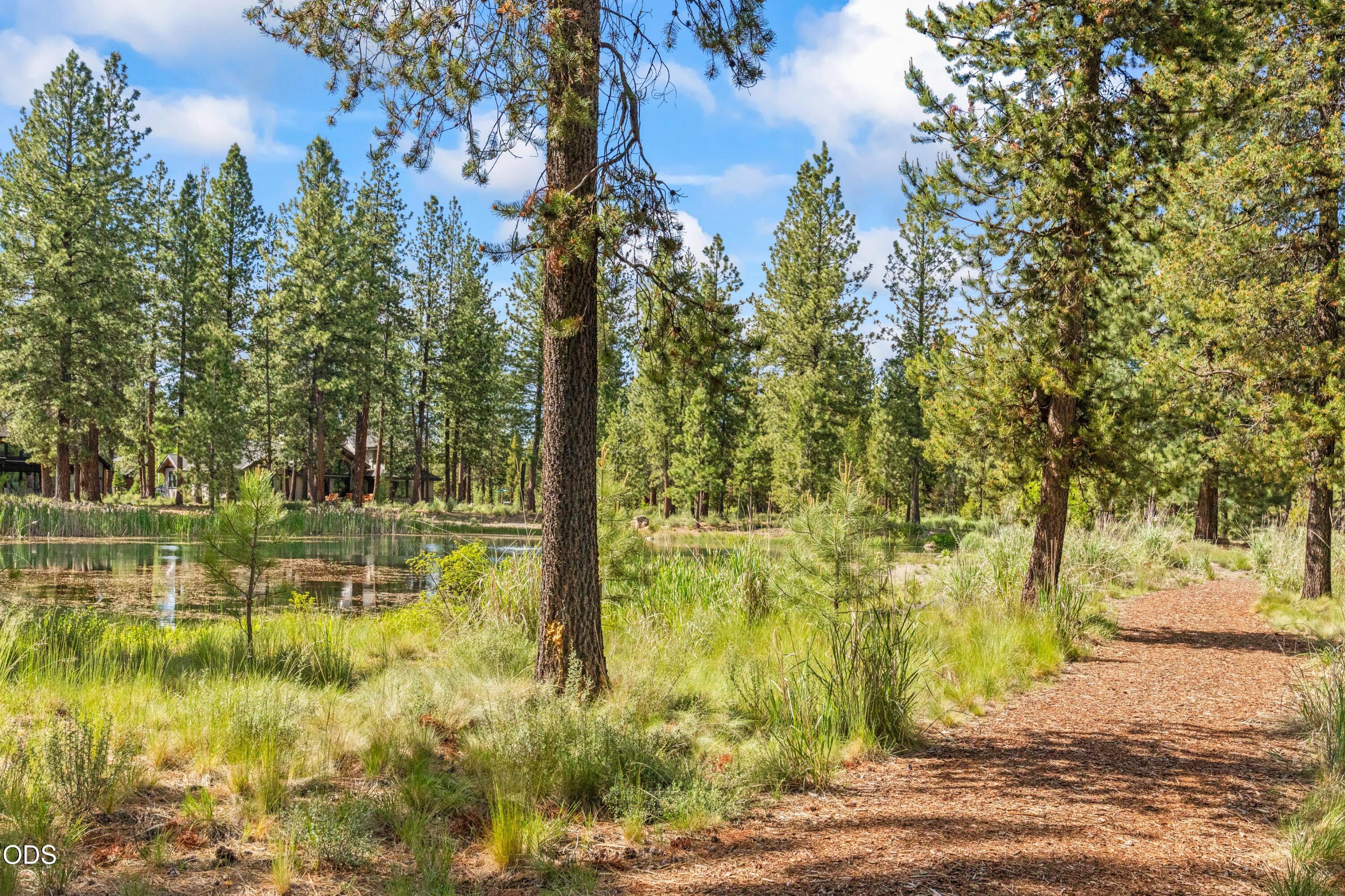 56322 Fireglass Loop, 174
