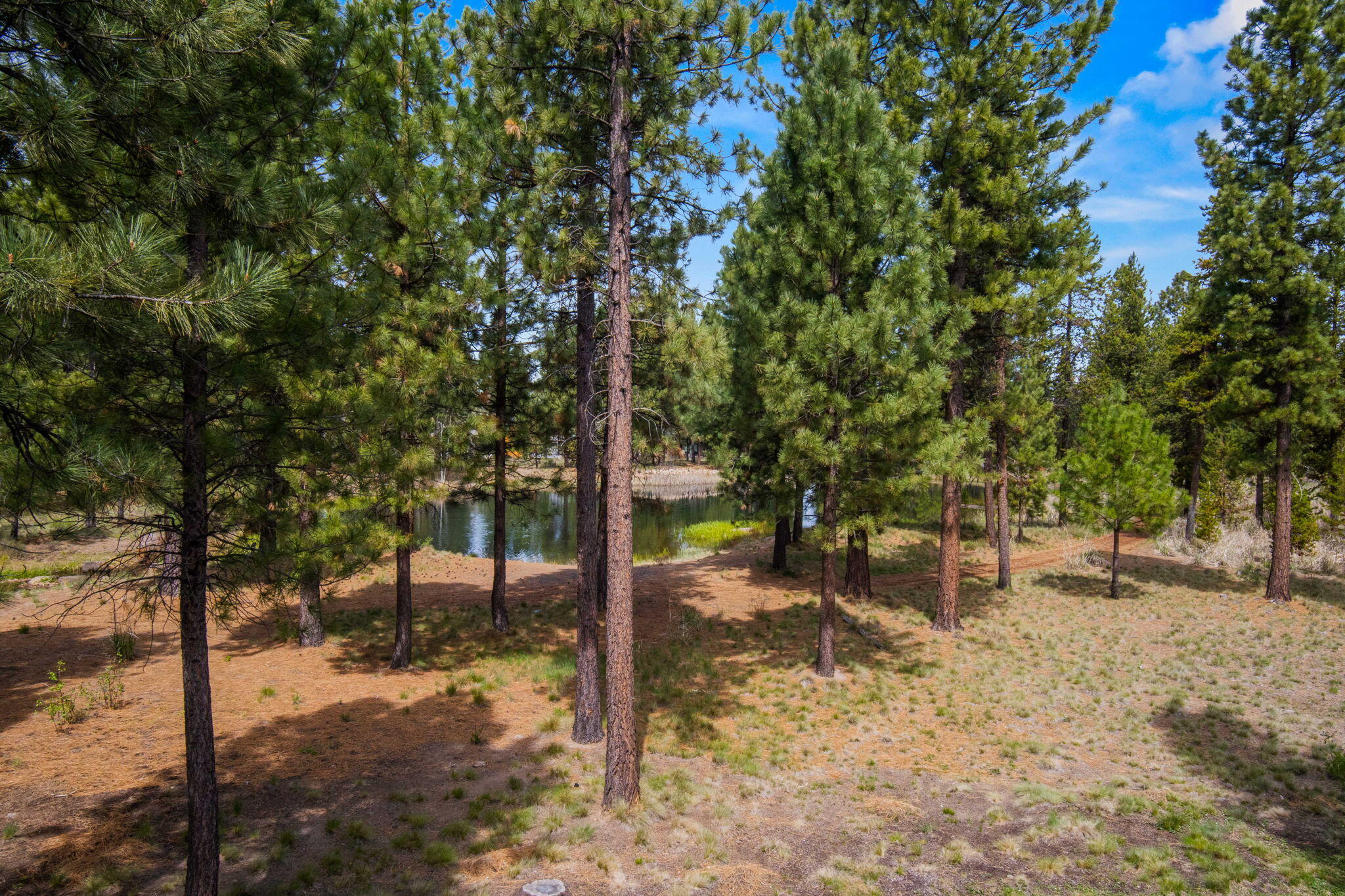 56328 Fireglass Loop, 175