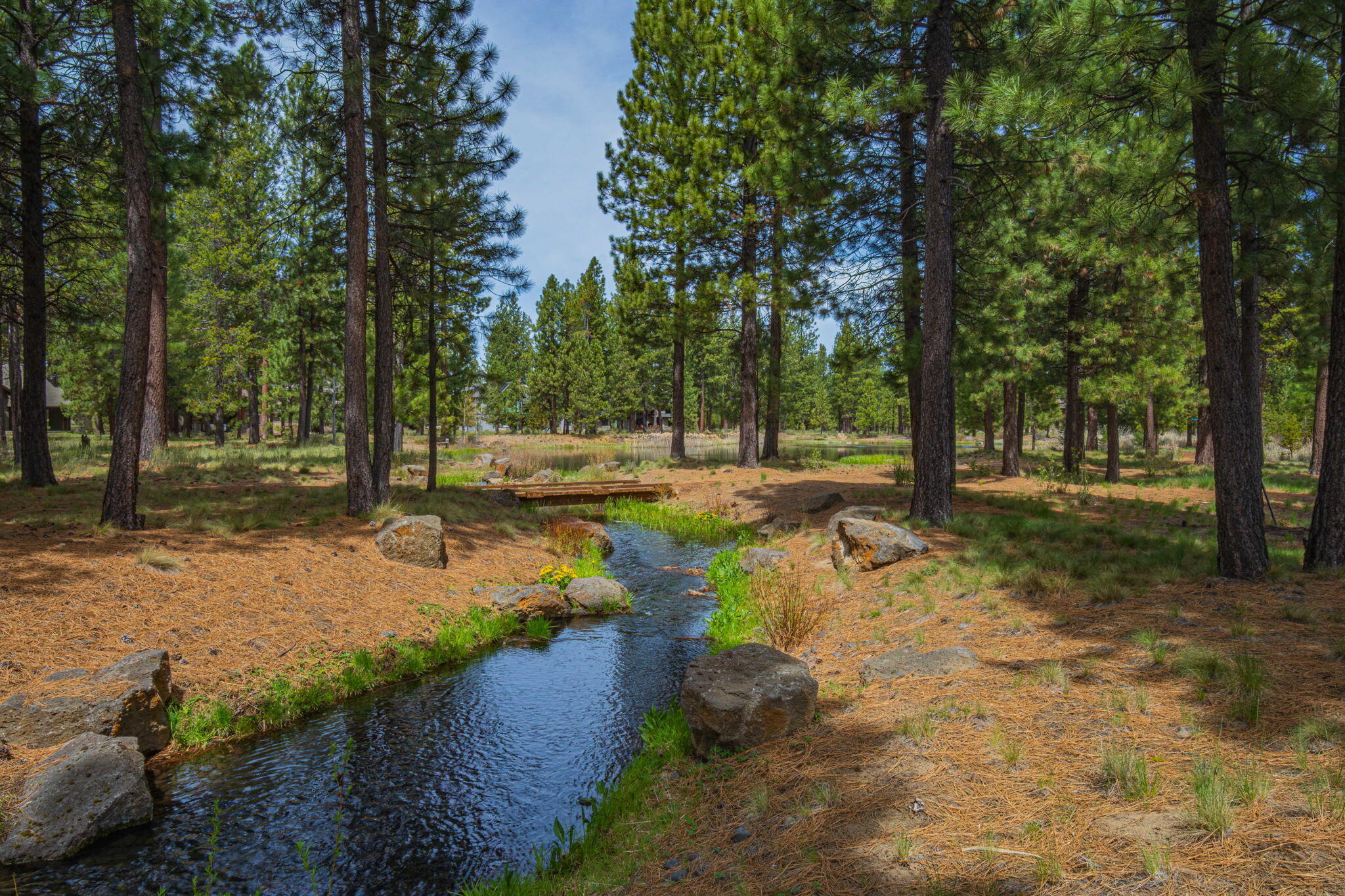56328 Fireglass Loop, 175