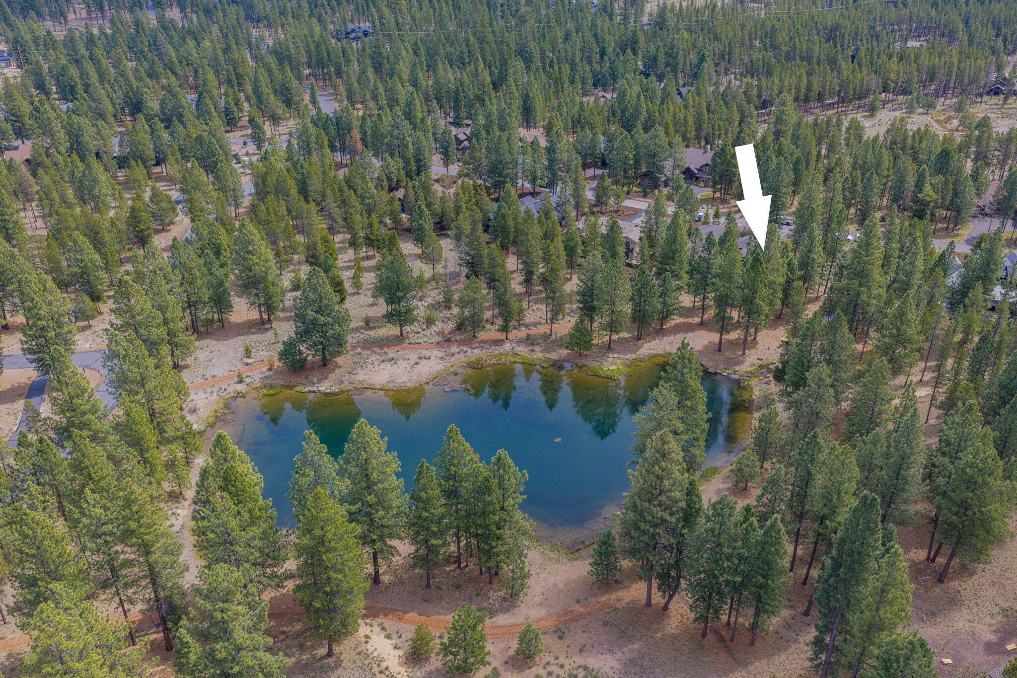 56328 Fireglass Loop, 175