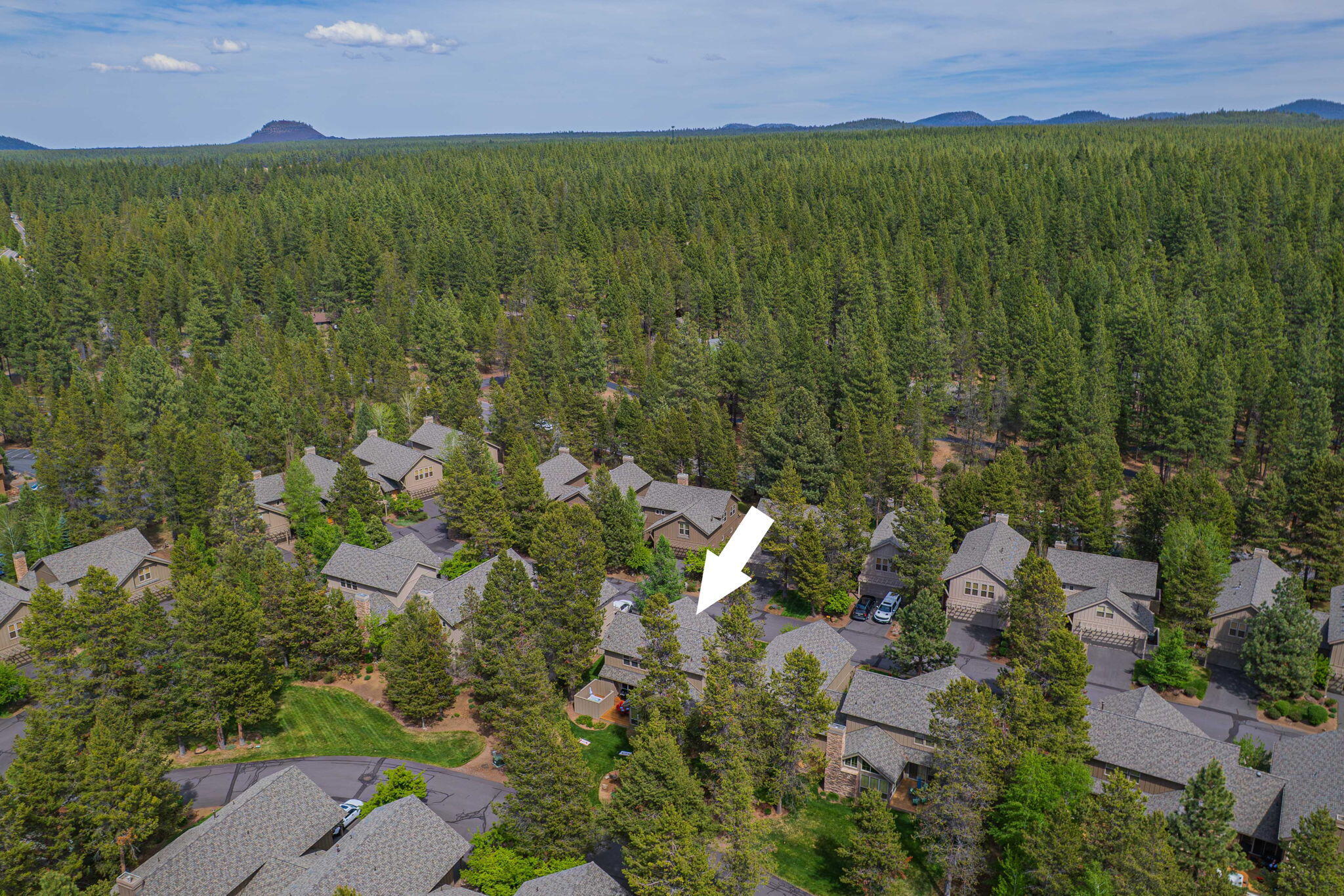 57129 Evergreen Loop, 44