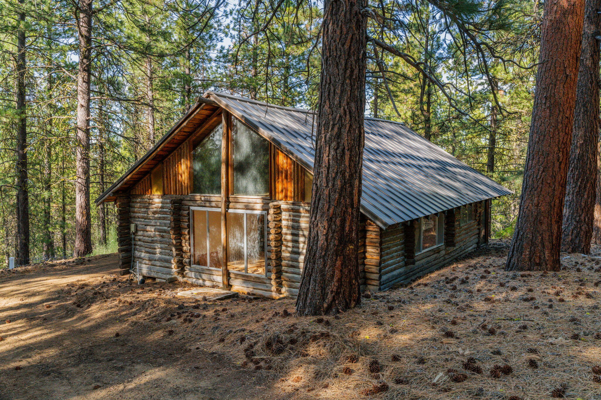 54655 Jack Pine Road