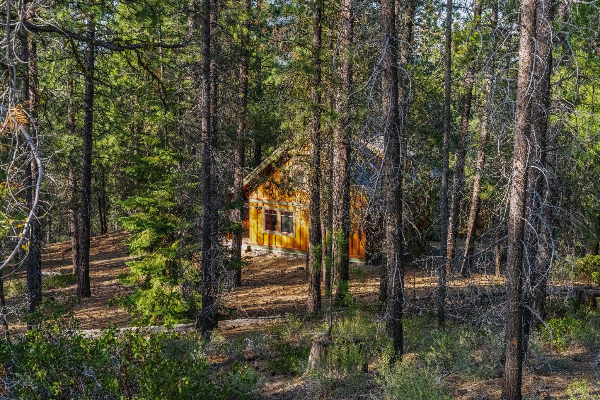 54655 Jack Pine Road