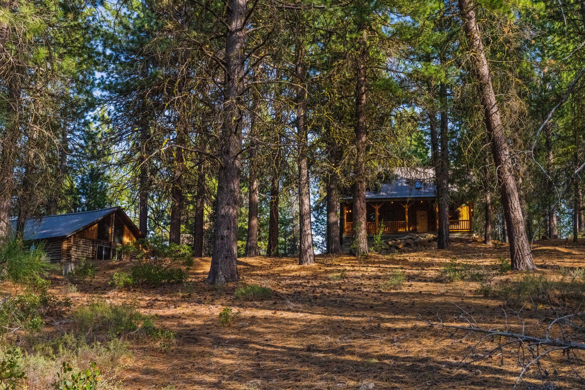 54655 Jack Pine Road