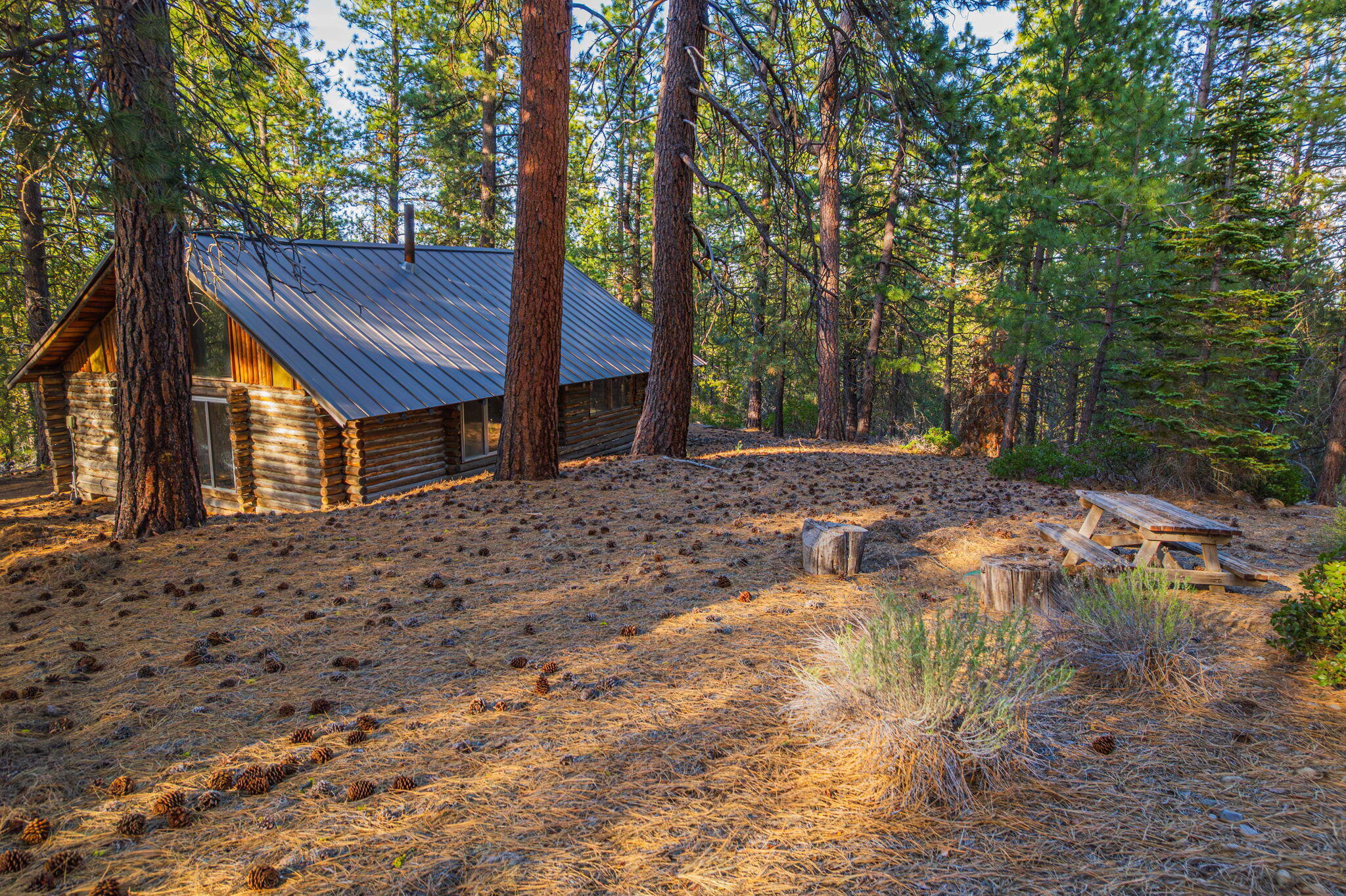 54655 Jack Pine Road