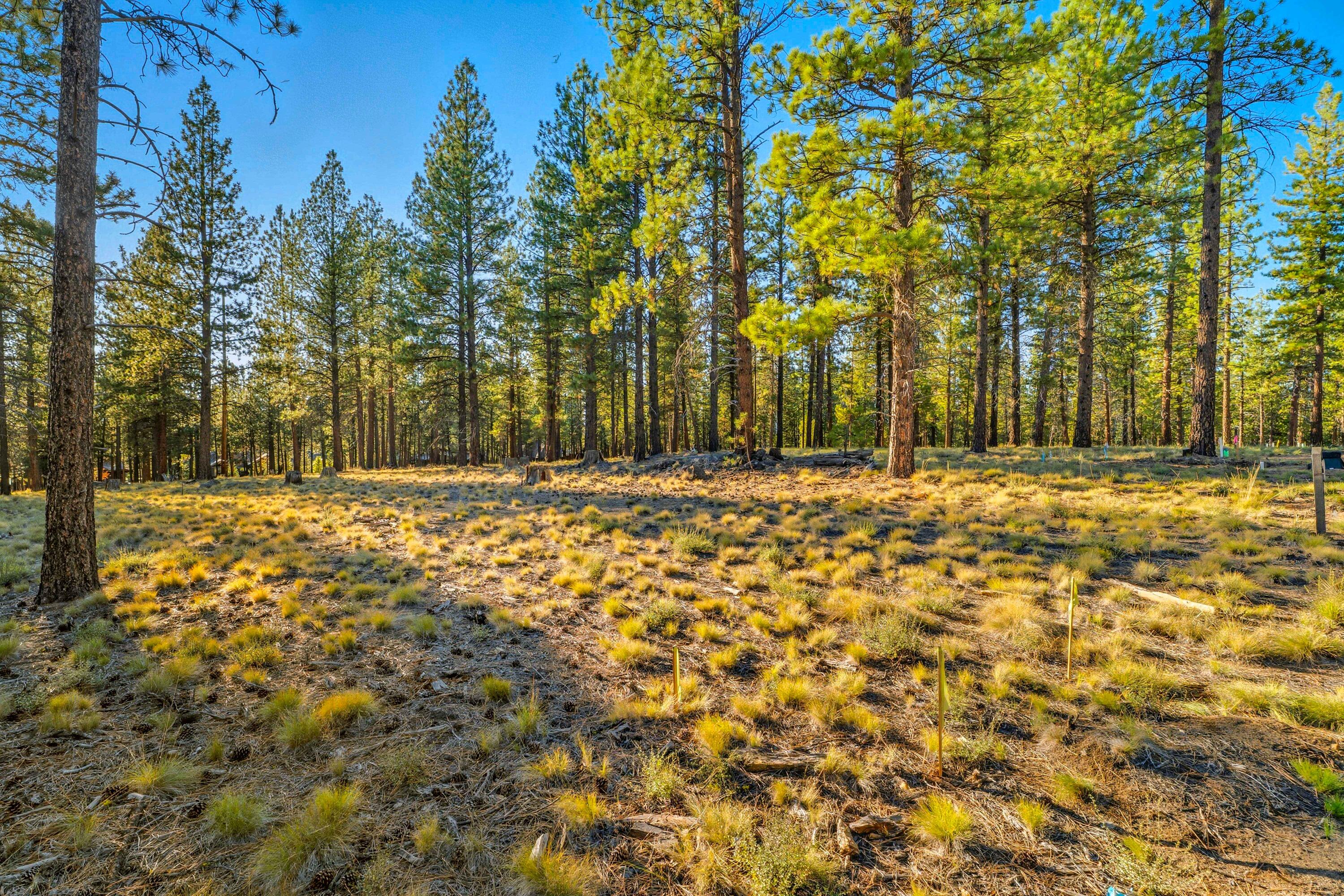 56508 Elk Run Drive, 499