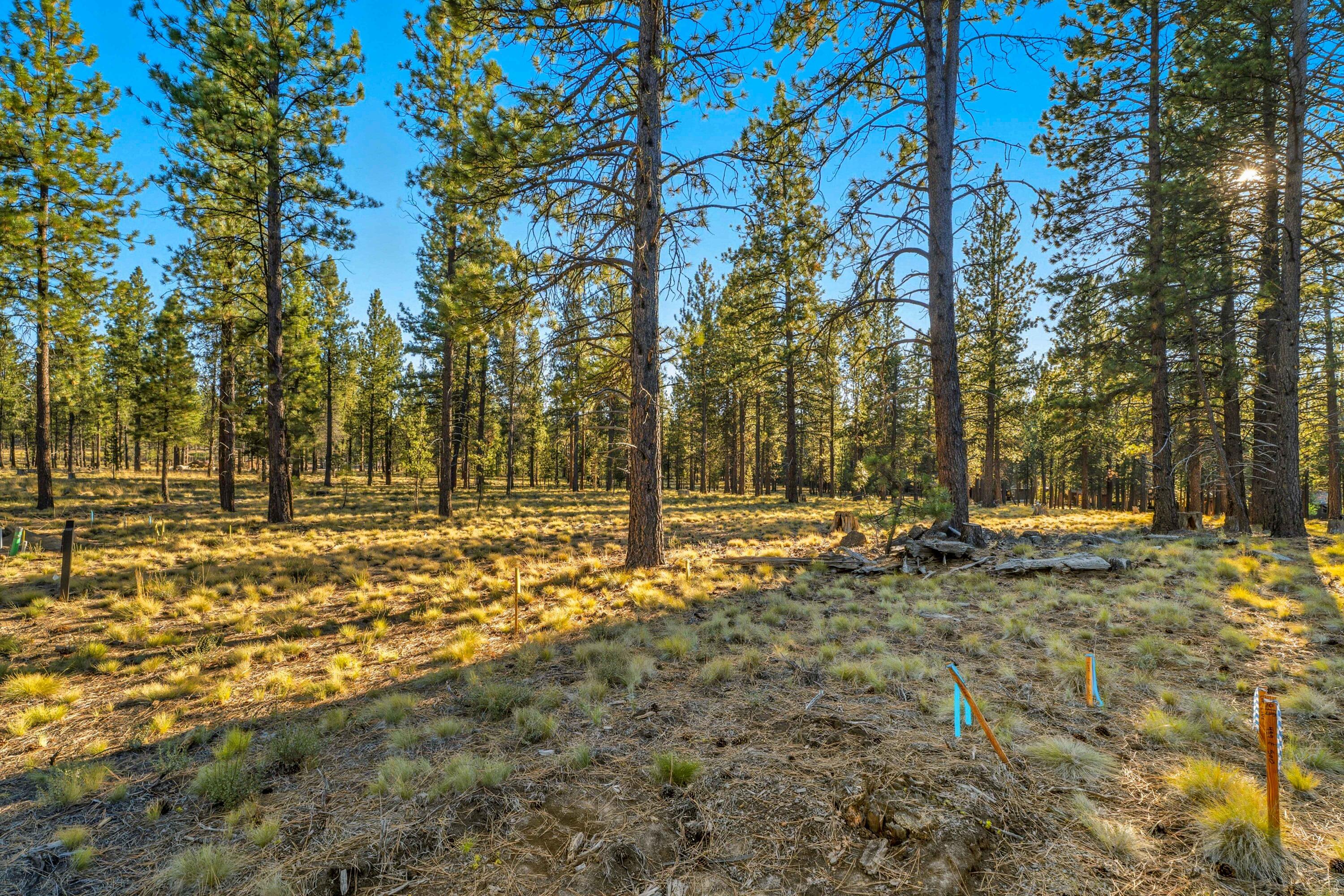 56508 Elk Run Drive, 499