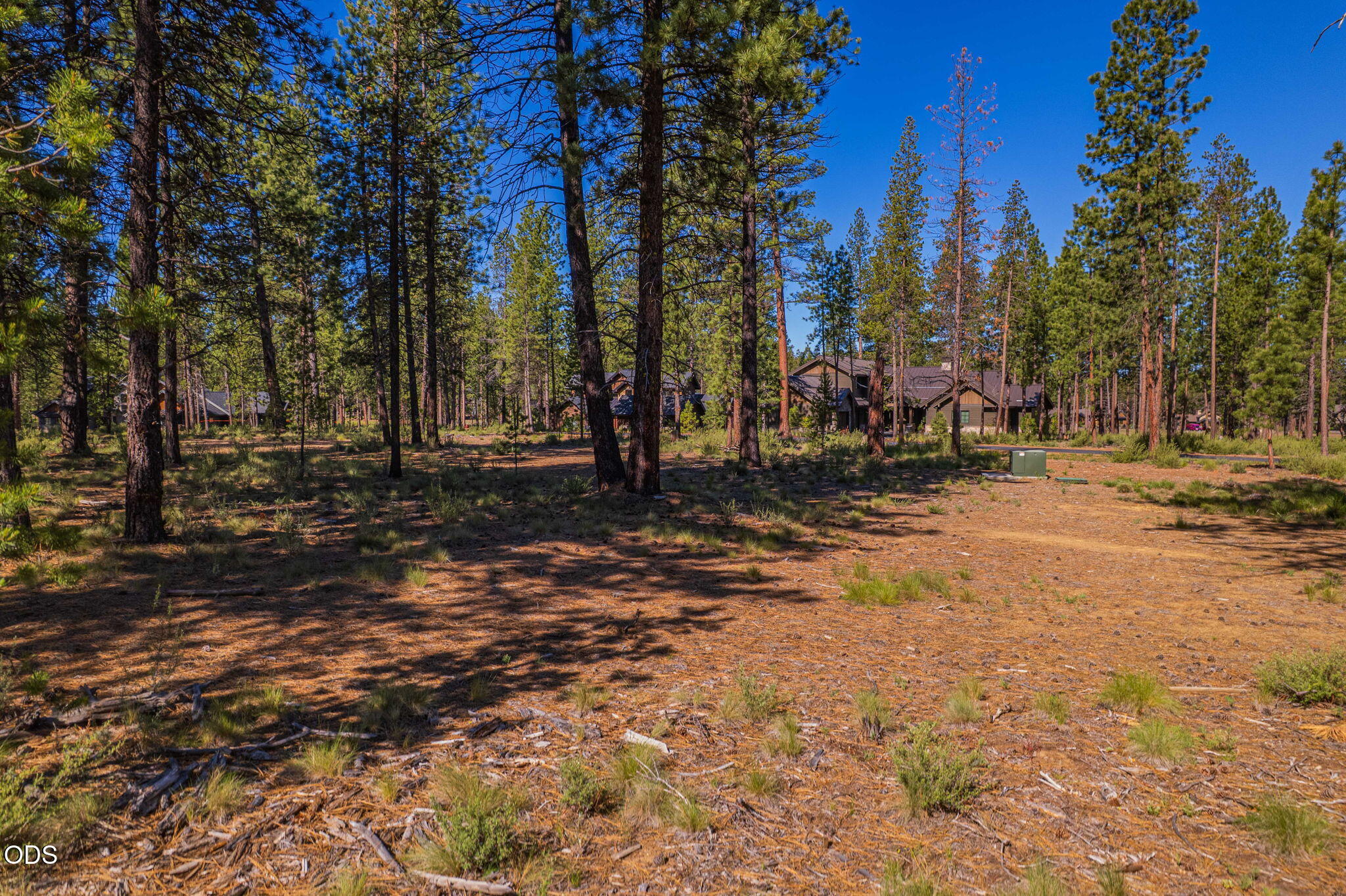 56342 Mirror Rock Loop, 359