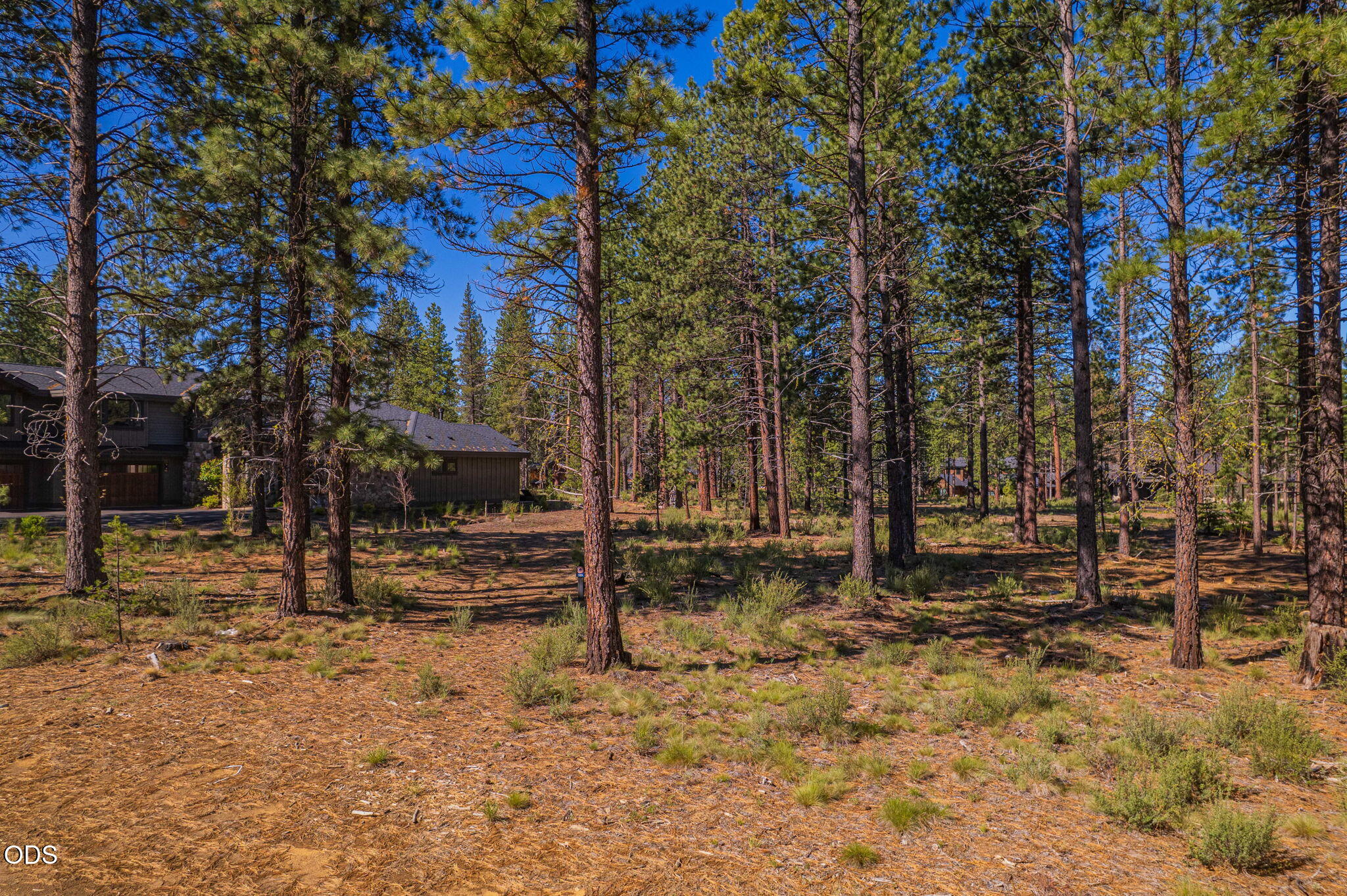 56342 Mirror Rock Loop, 359