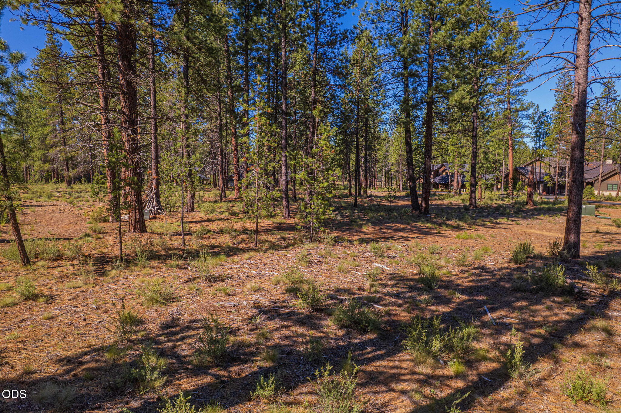 56342 Mirror Rock Loop, 359