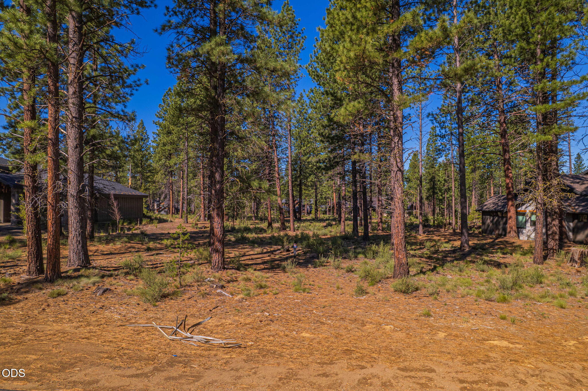 56342 Mirror Rock Loop, 359