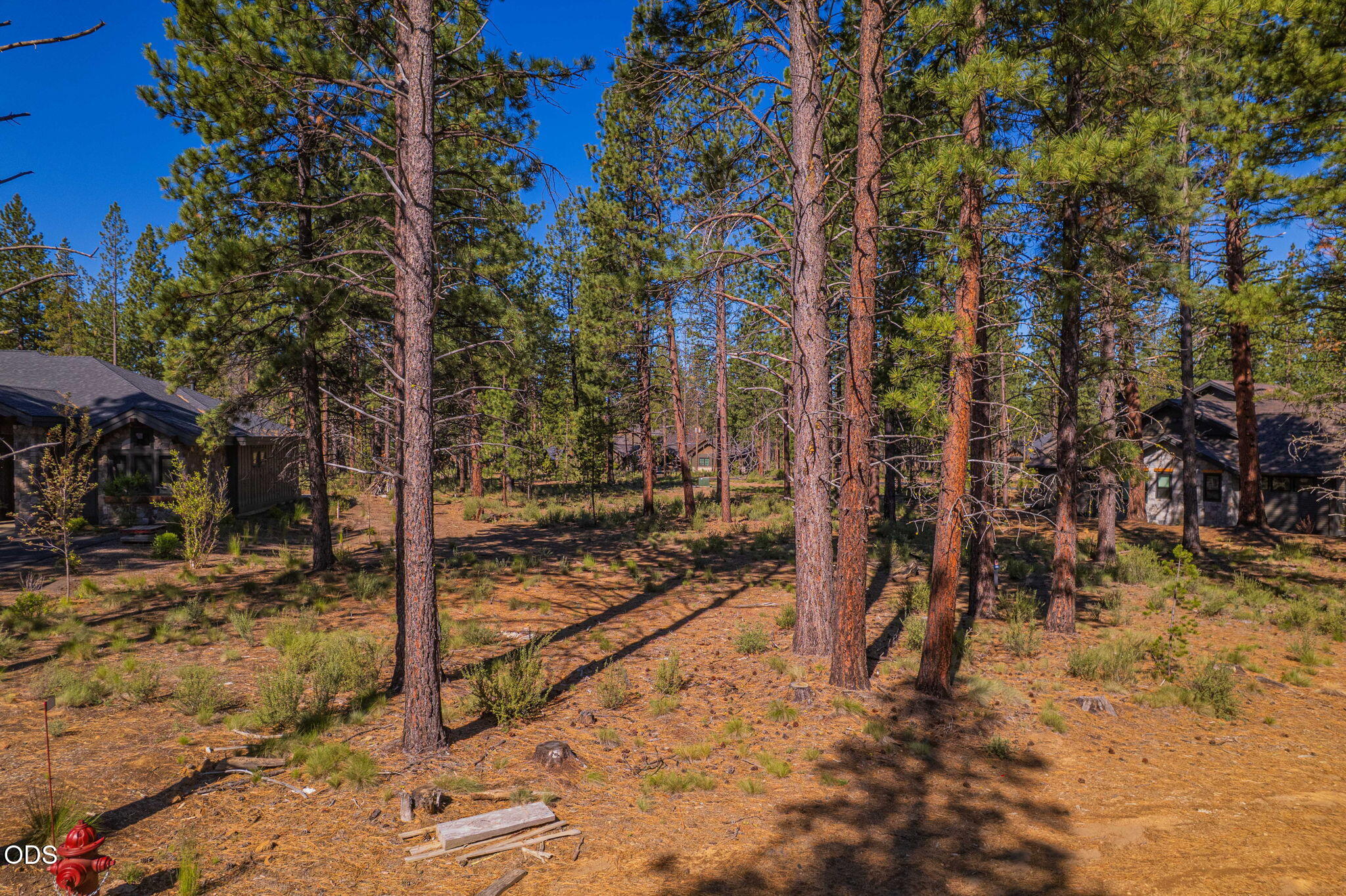 56342 Mirror Rock Loop, 359