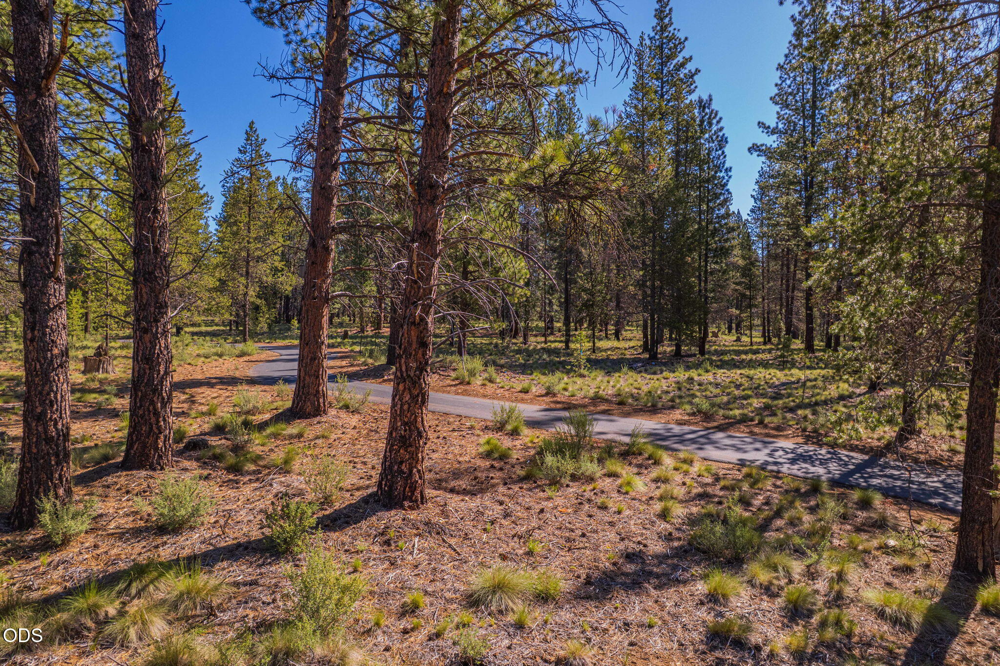 56319 Mirror Rock Loop, 337